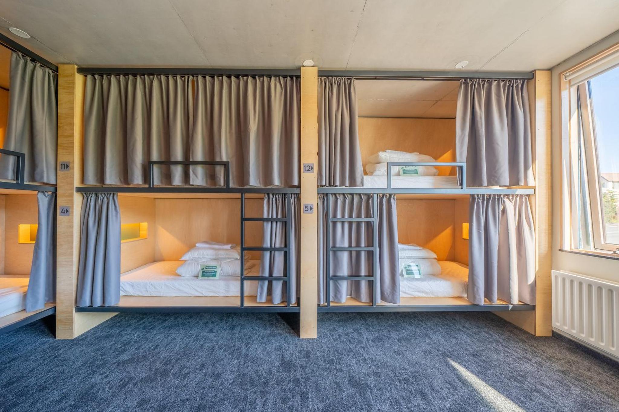 Single Bed in a 14-bed Mixed Deluxe Dorm with Shared Bathroom