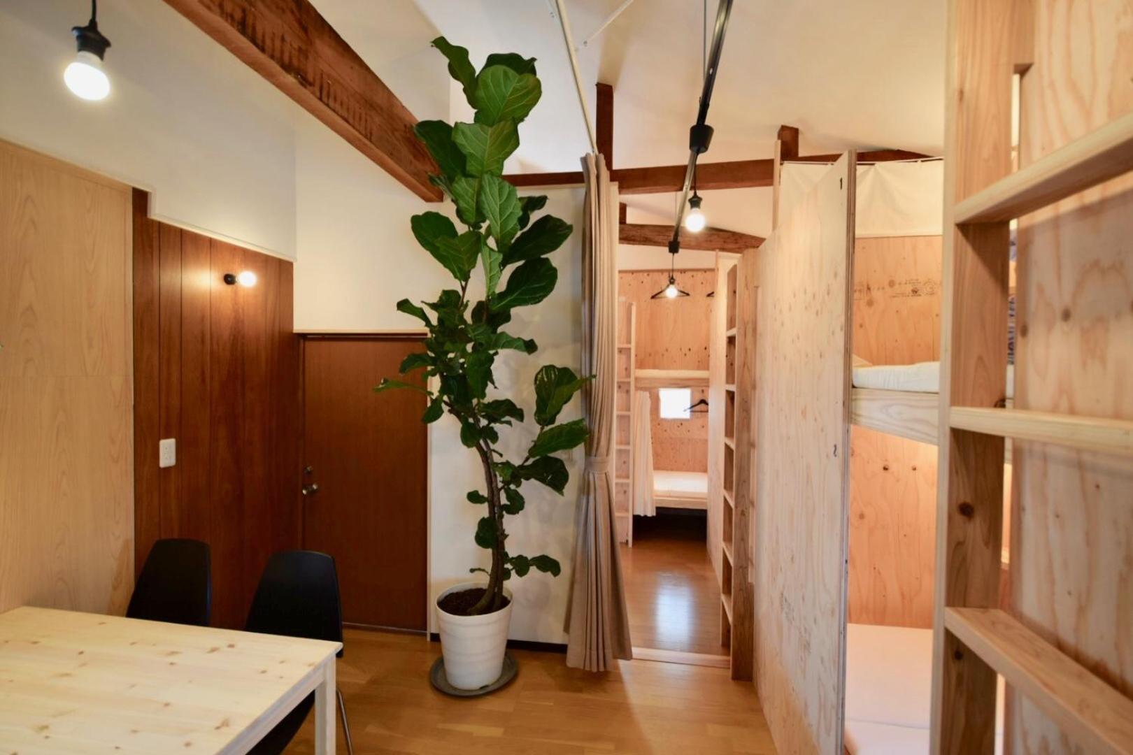 Bunk Bed in Mixed Dormitory Room