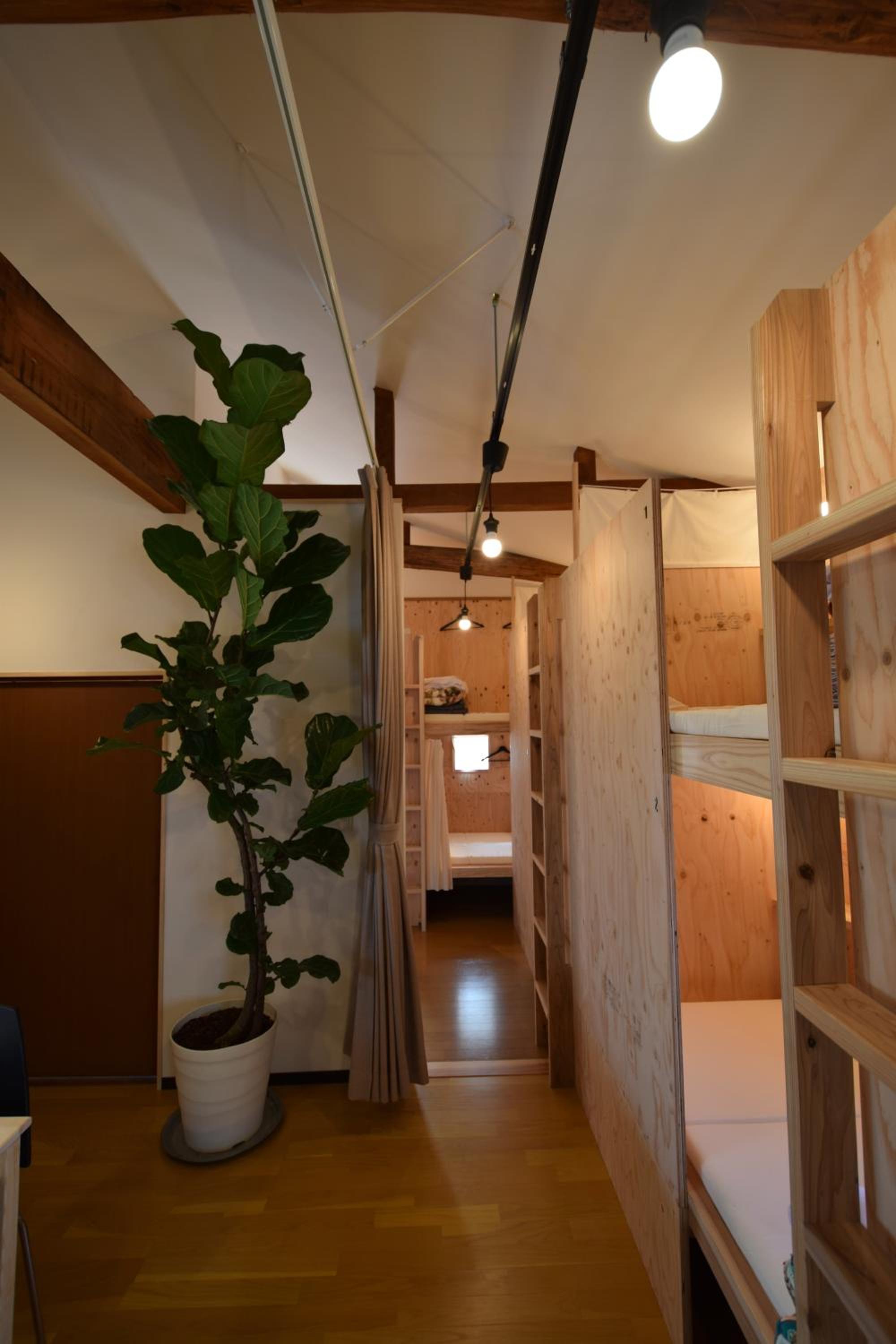 Bunk Bed in Mixed Dormitory Room photo 2