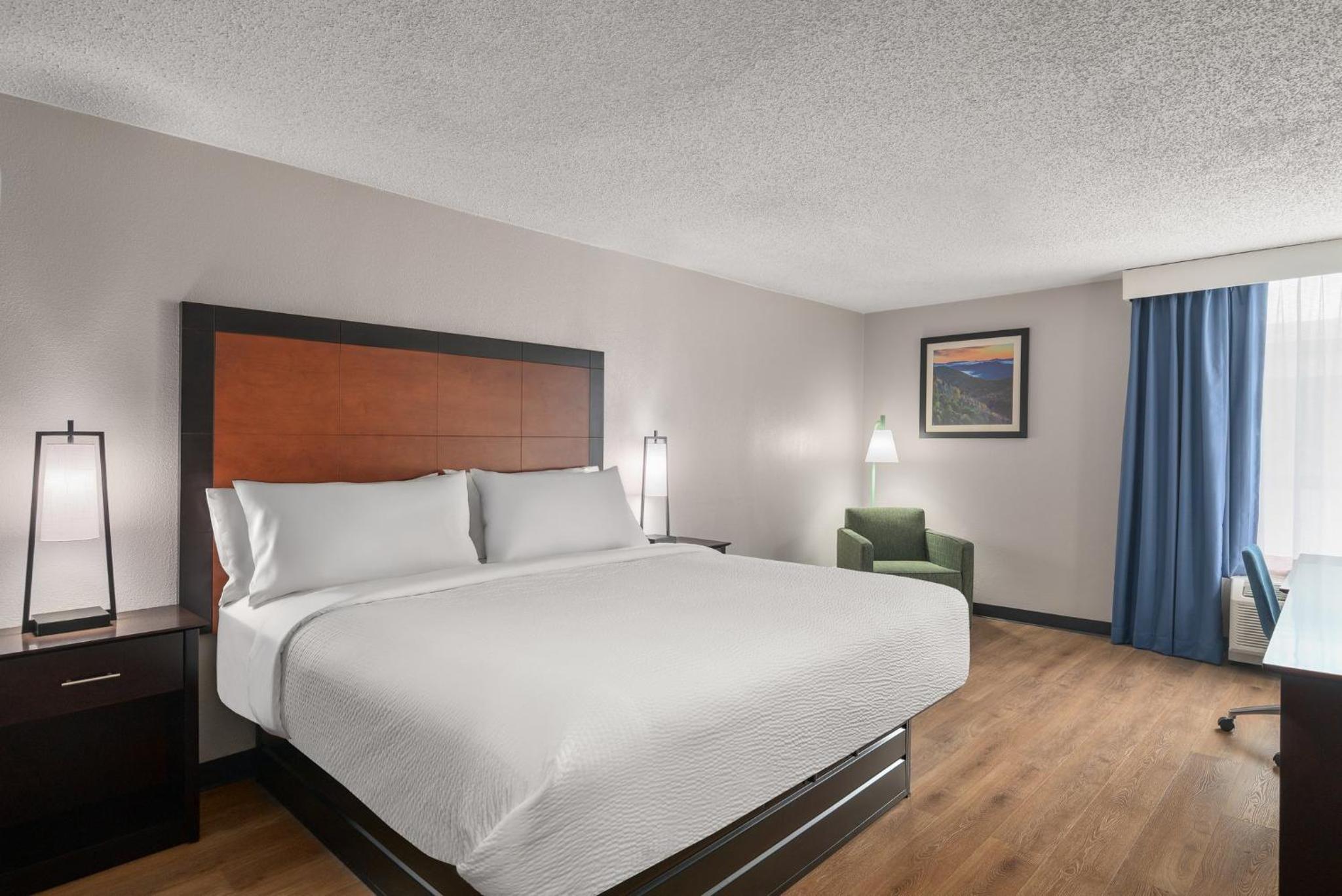 Standard King Room - Photo 6