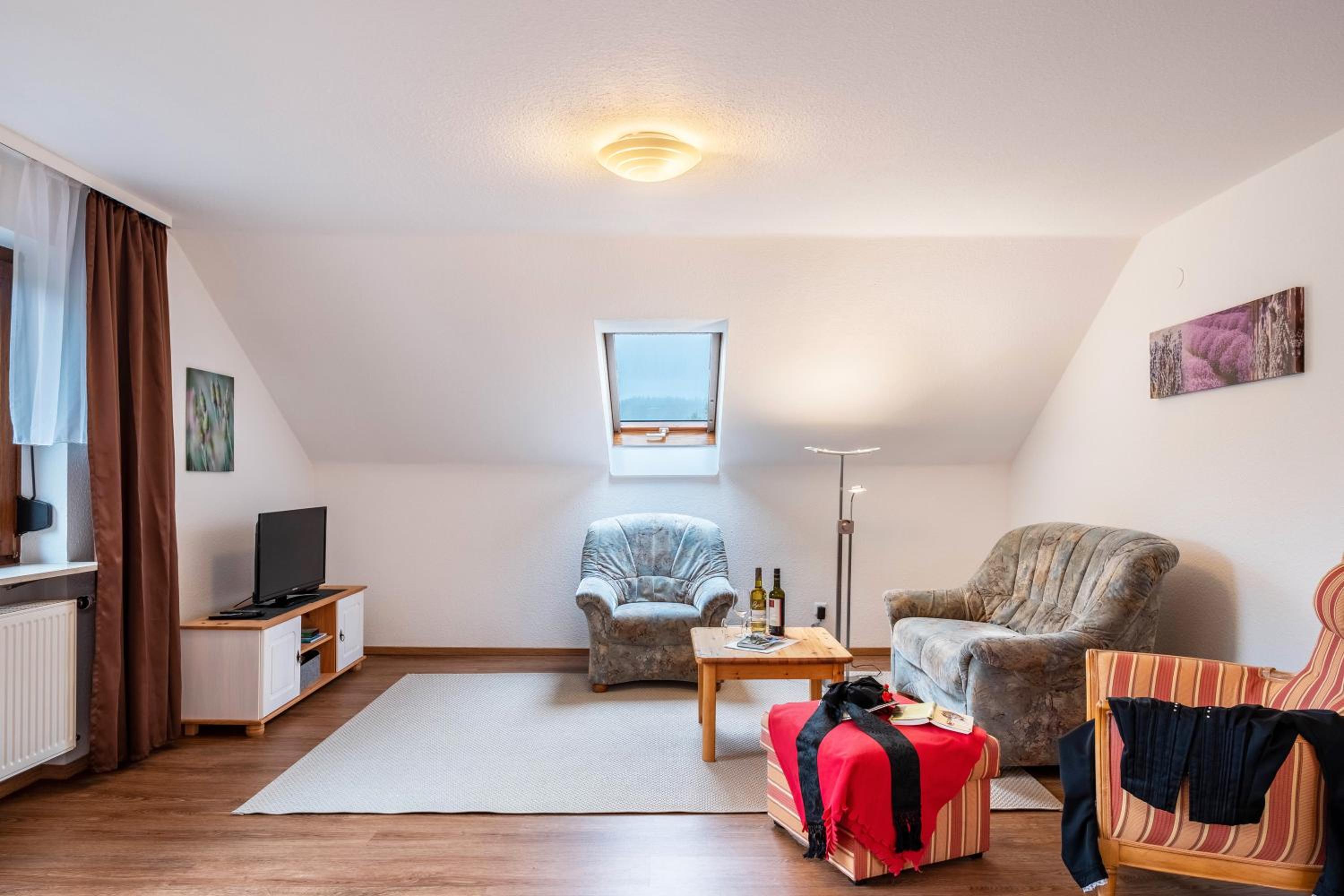 Superior One-Bedroom Apartment with Balcony photo 3