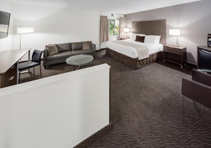 Superior King Suite