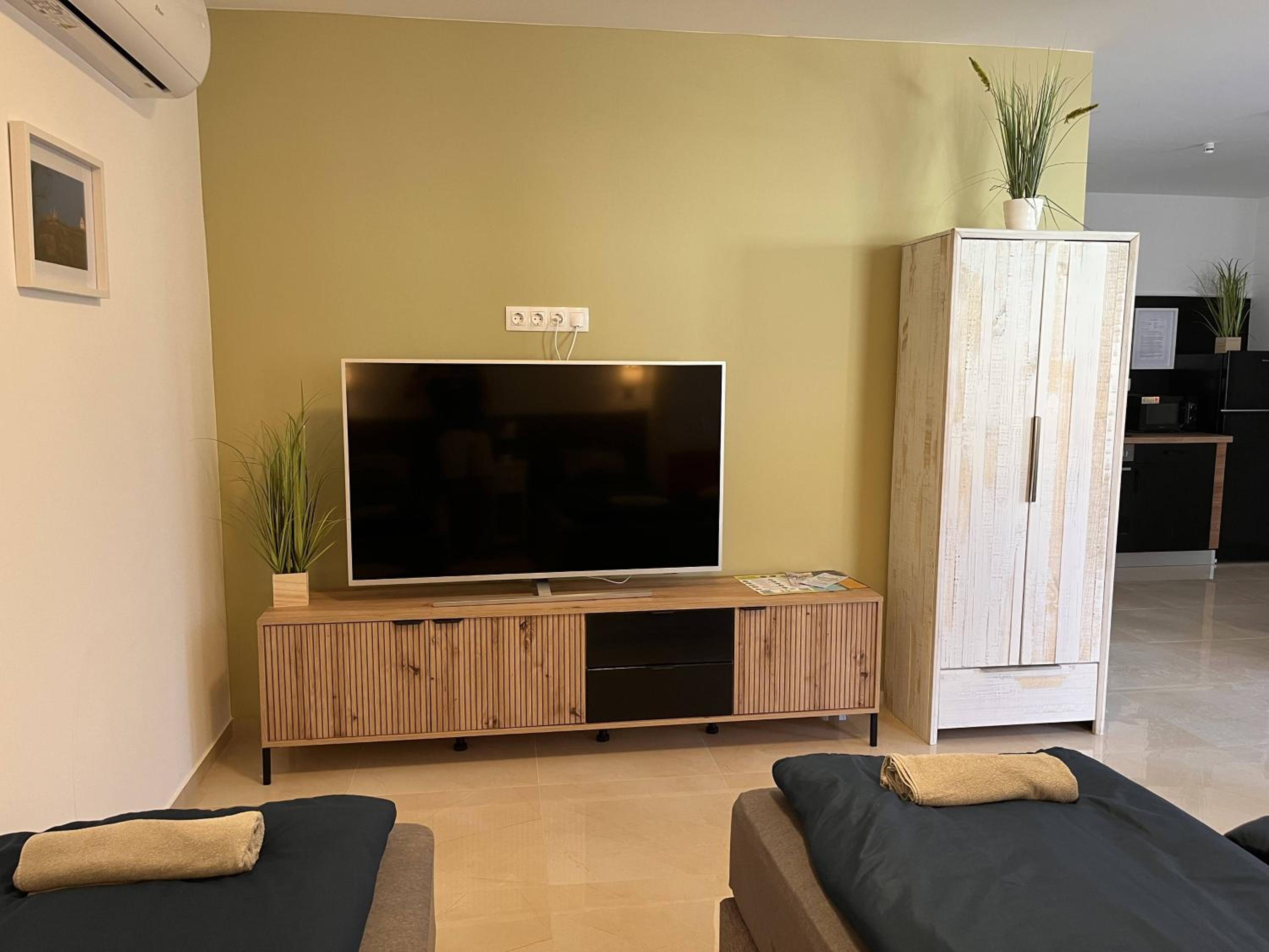 Two-Bedroom Deluxe Apartment photo 3