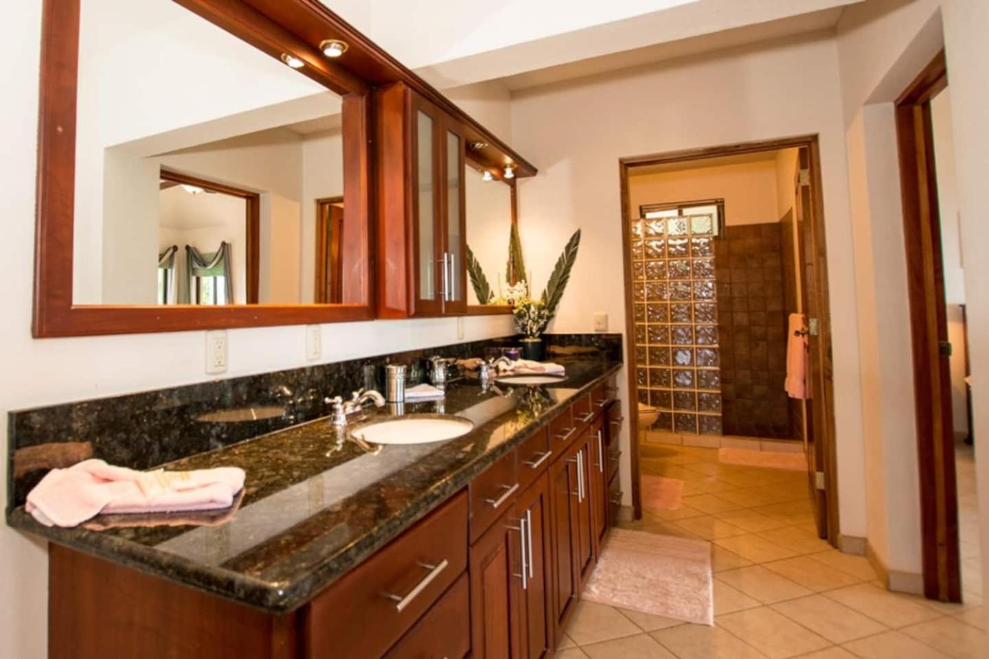 Deluxe Villa photo 3