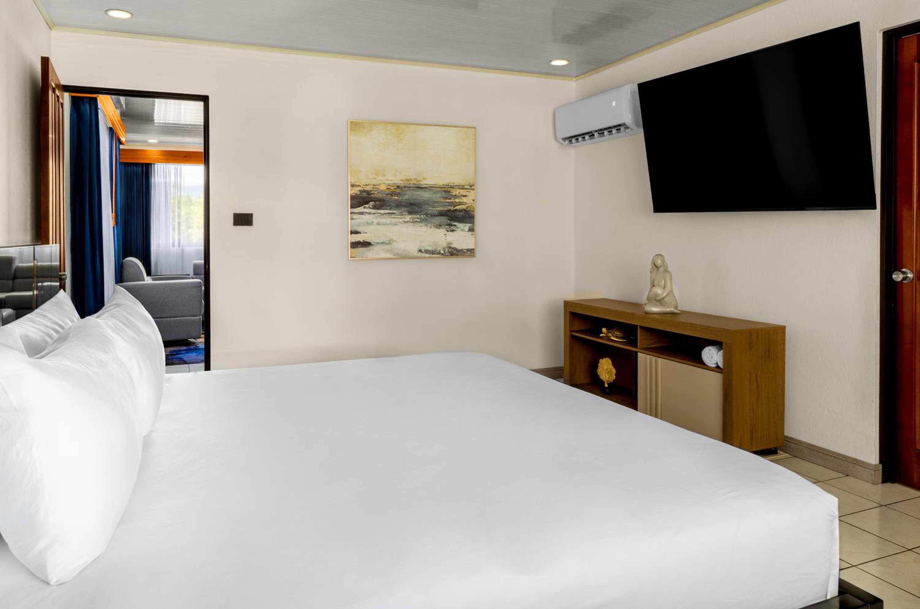 Deluxe Suite photo 1