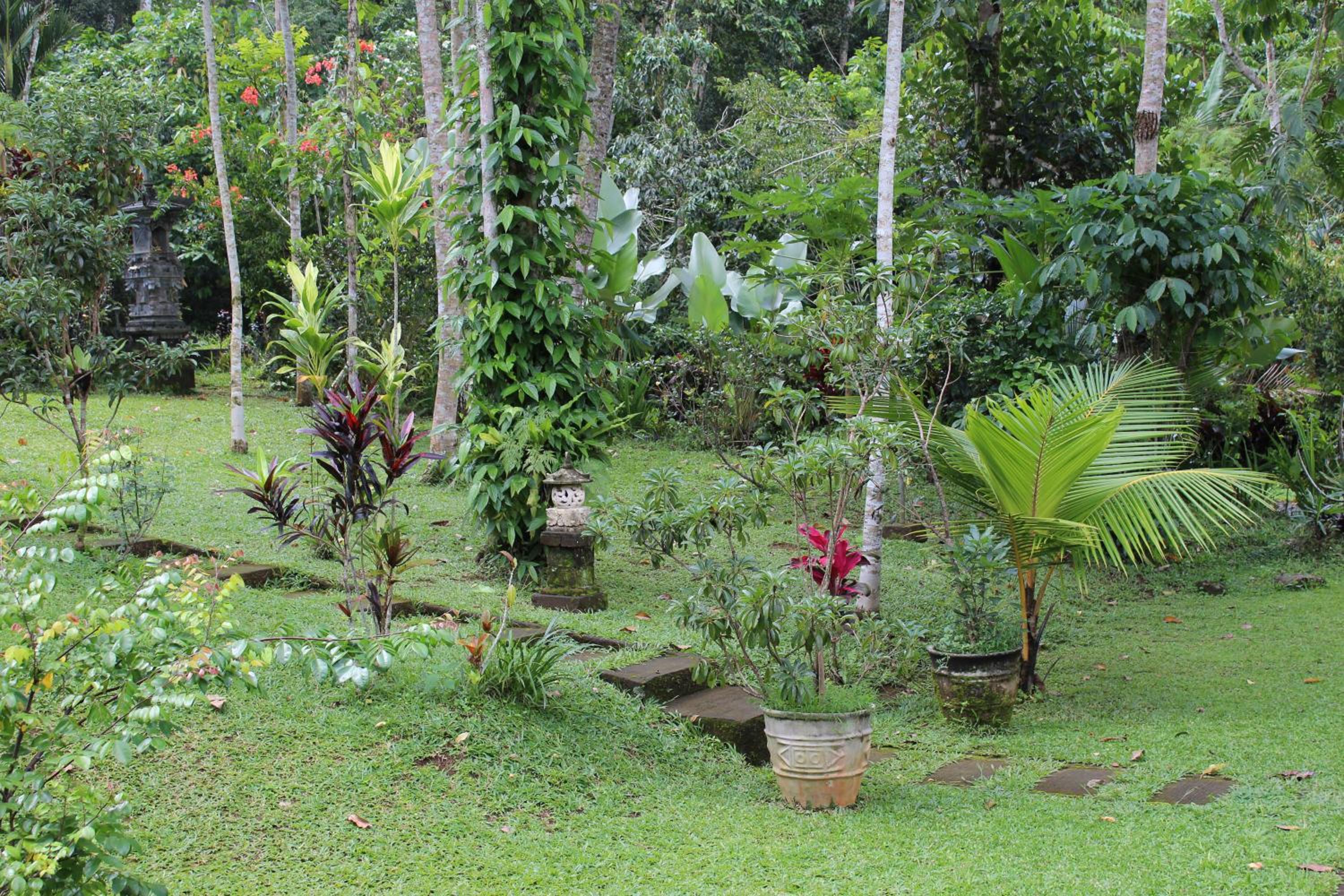Family Bungalow - Photo 14