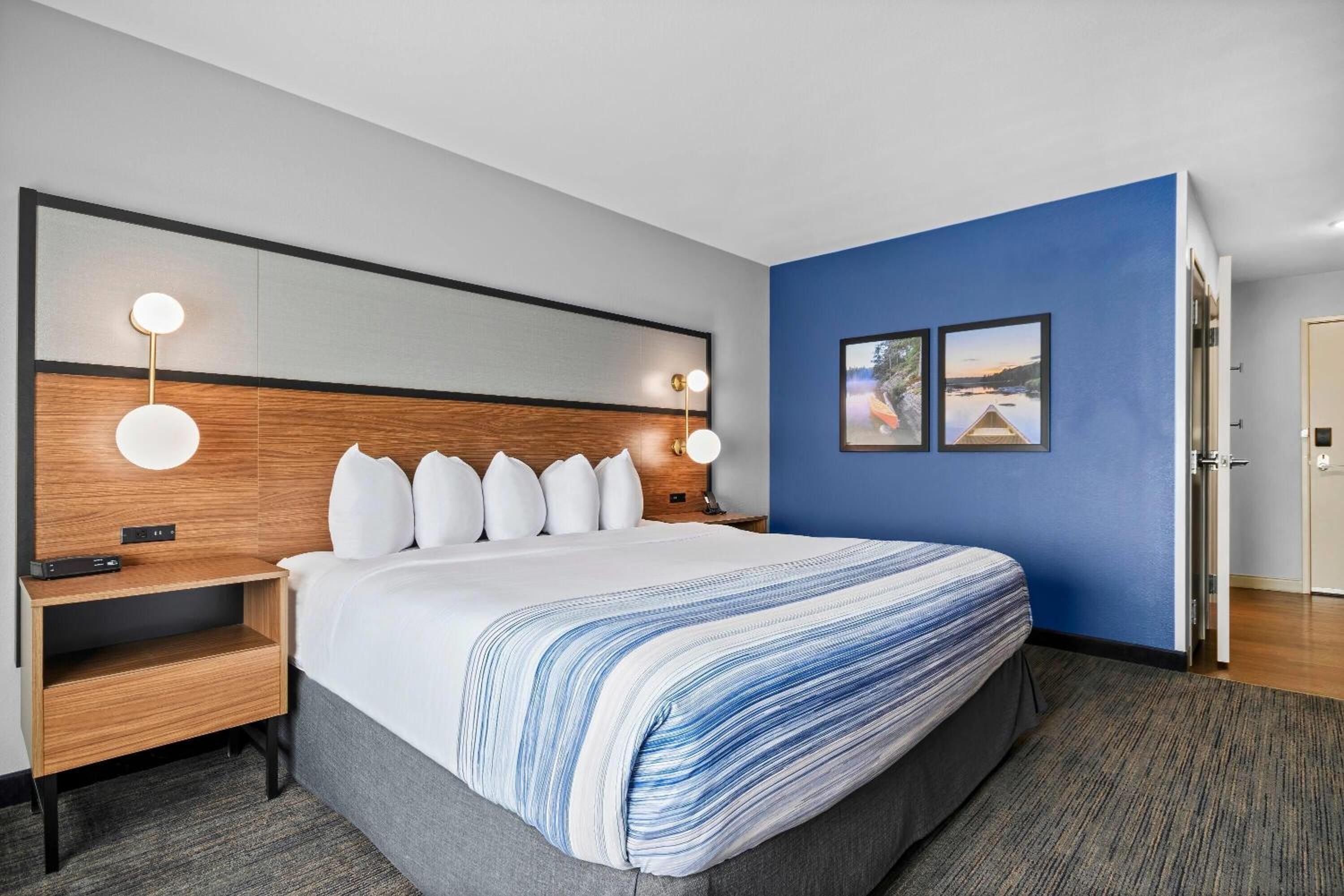 King Room with Roll-in Shower - Mobility Access/Non-Smoking photo 2