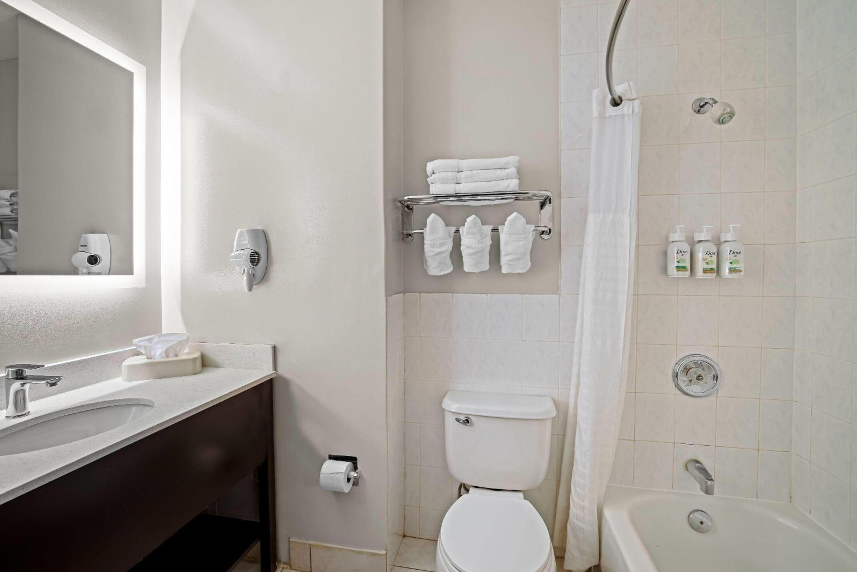 Studio Suite with One King Bed - Ground Floor - Non-Smoking - Photo 1