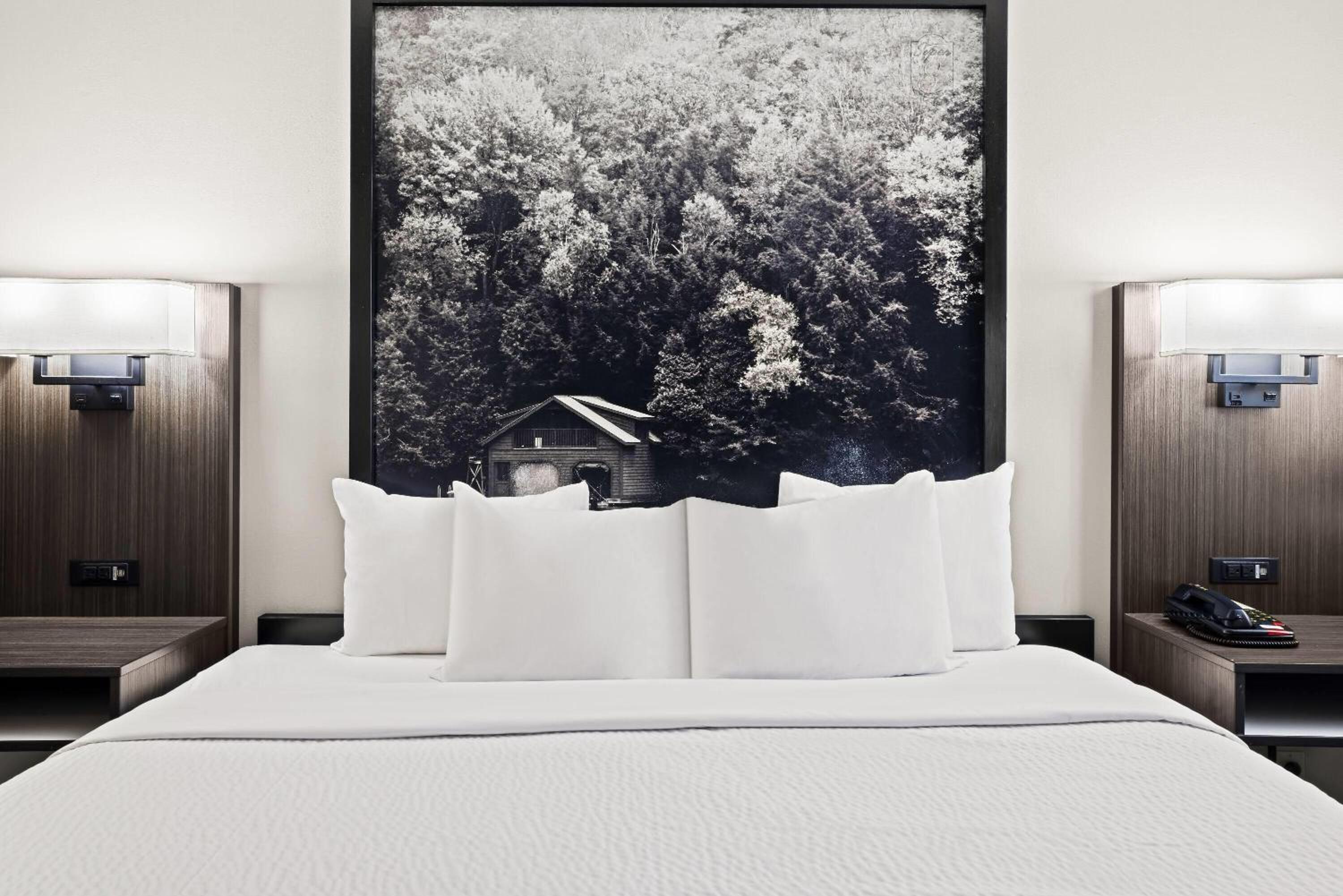 Studio Suite with One King Bed - Ground Floor - Non-Smoking - Photo 5