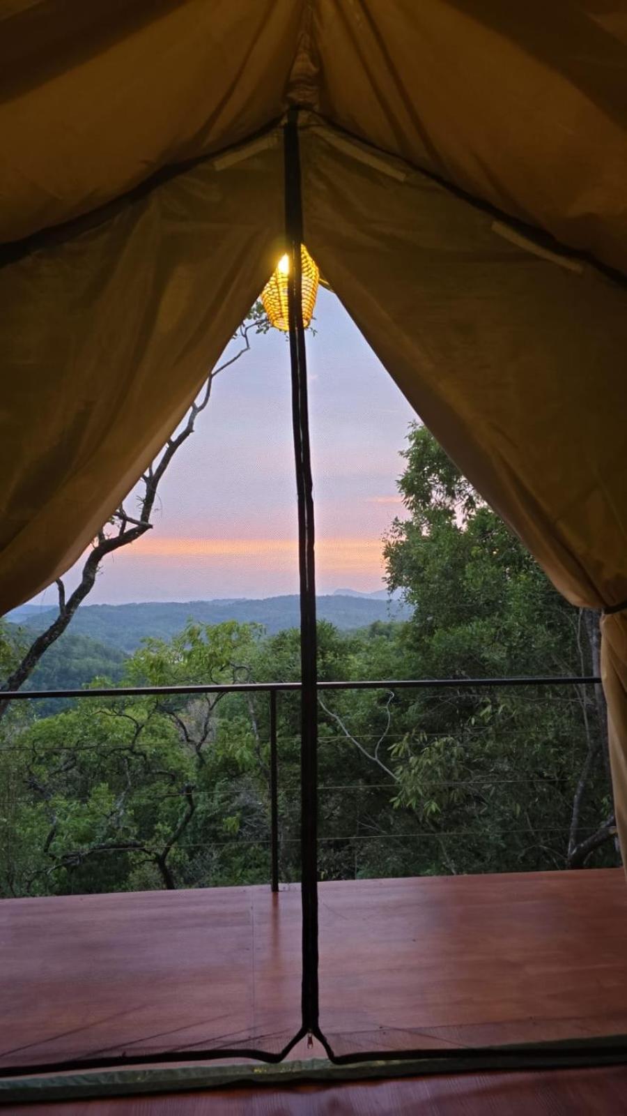 Tent photo 2