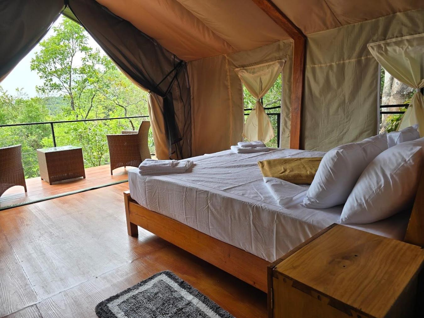 Tent photo 1