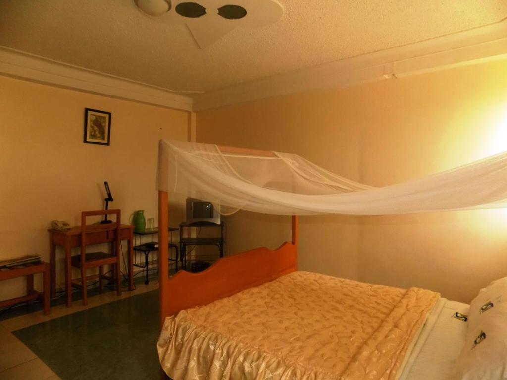 Budget Single Room photo 3