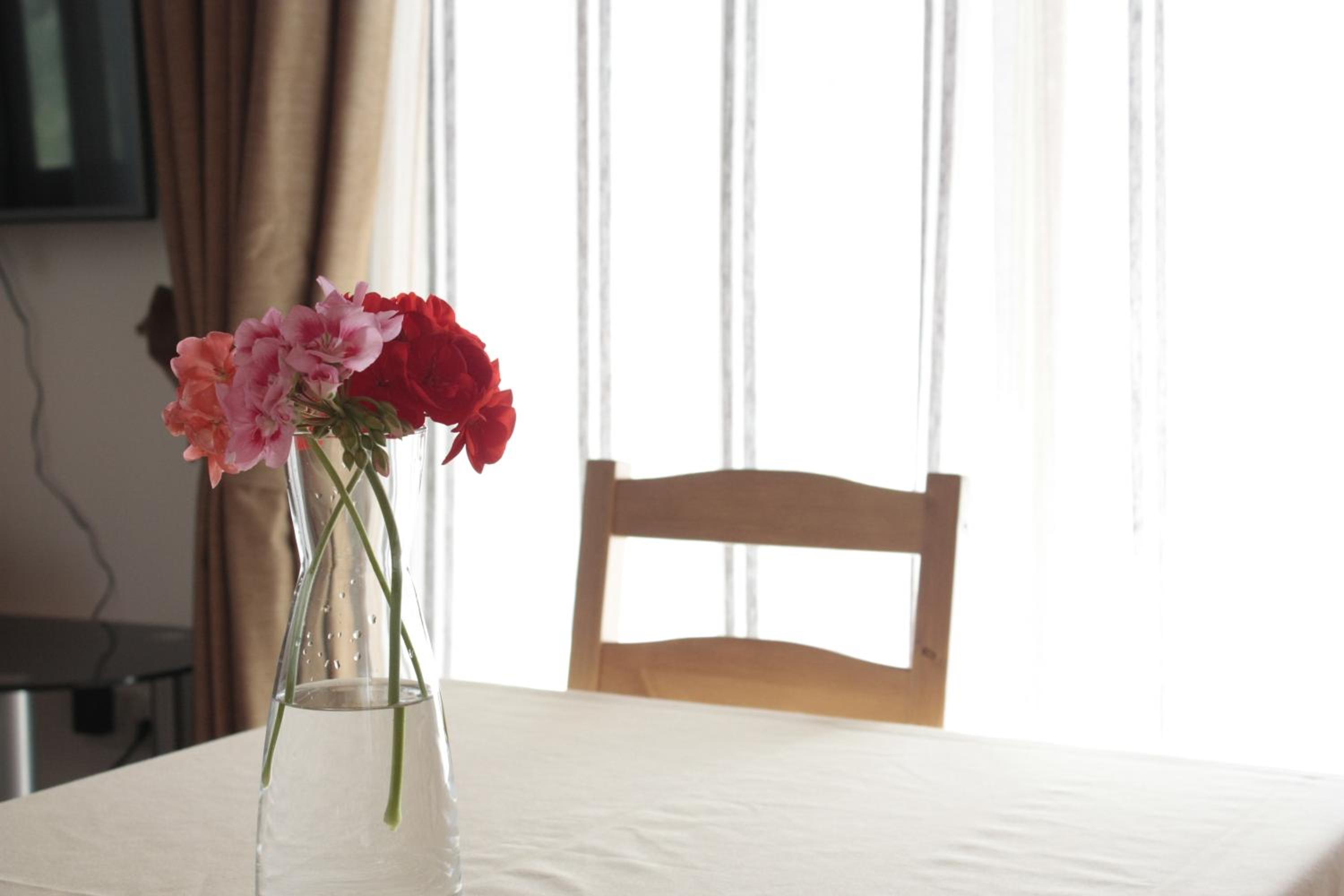 Studio Apartment - Photo 3