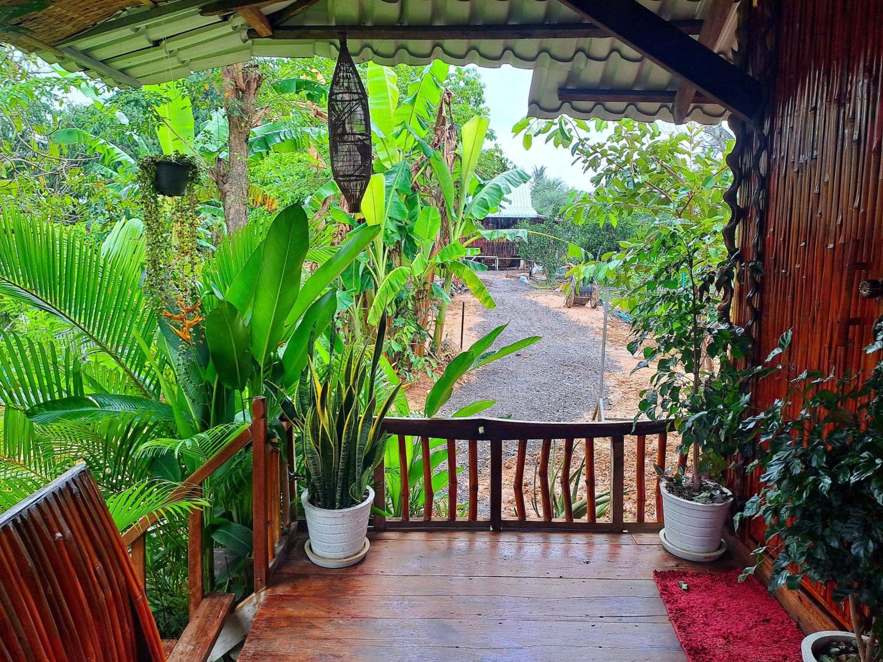 Bungalow with Garden View photo 2