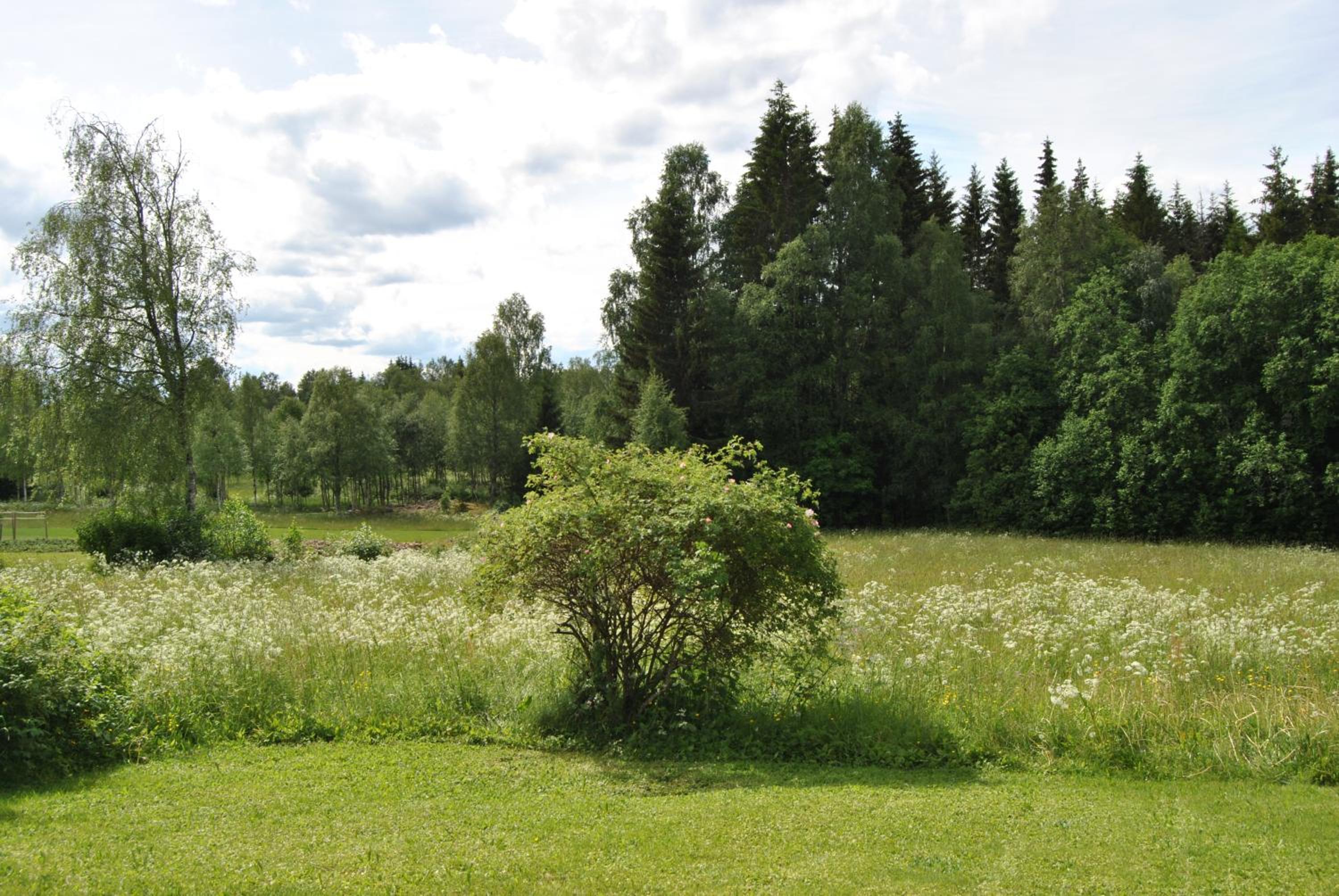 Vacation Home - Photo 38