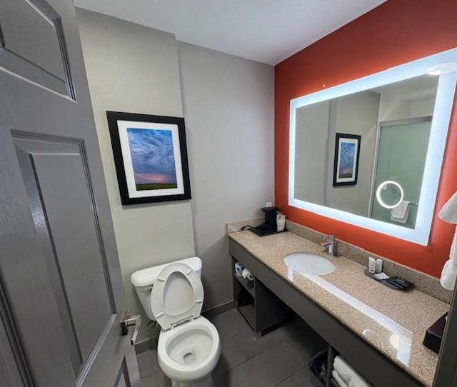 King Room with Roll-in Shower - Mobility Access/Non-Smoking - Photo 1