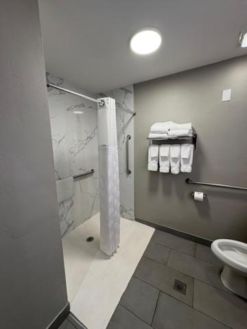 King Room with Roll-in Shower - Mobility Access/Non-Smoking - Photo 2