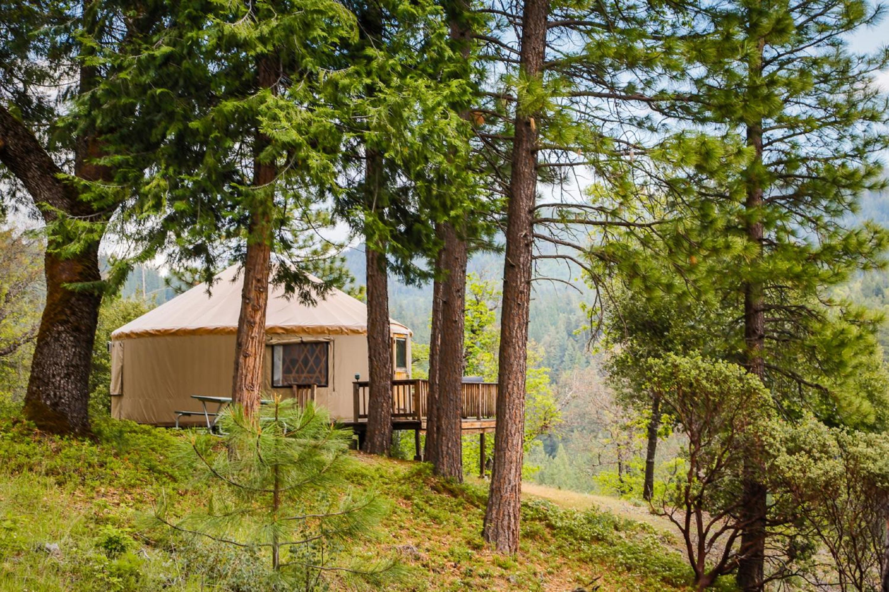 Yurt - Hill photo 3