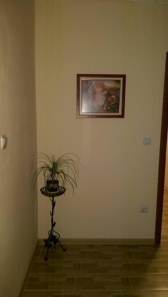 Family Suite with Balcony photo 3