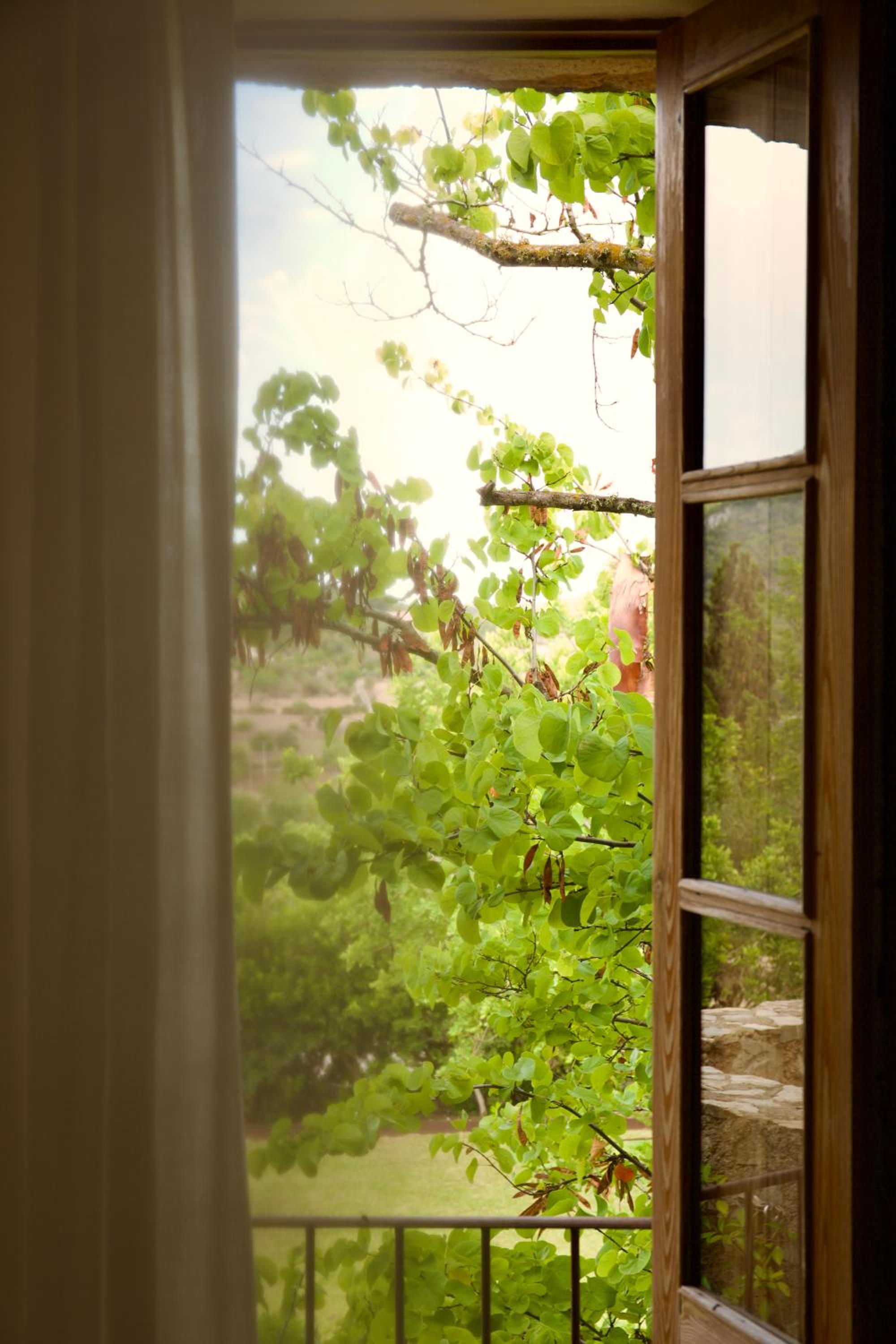Junior Suite with Mountain View Junior Suite with Mountain View