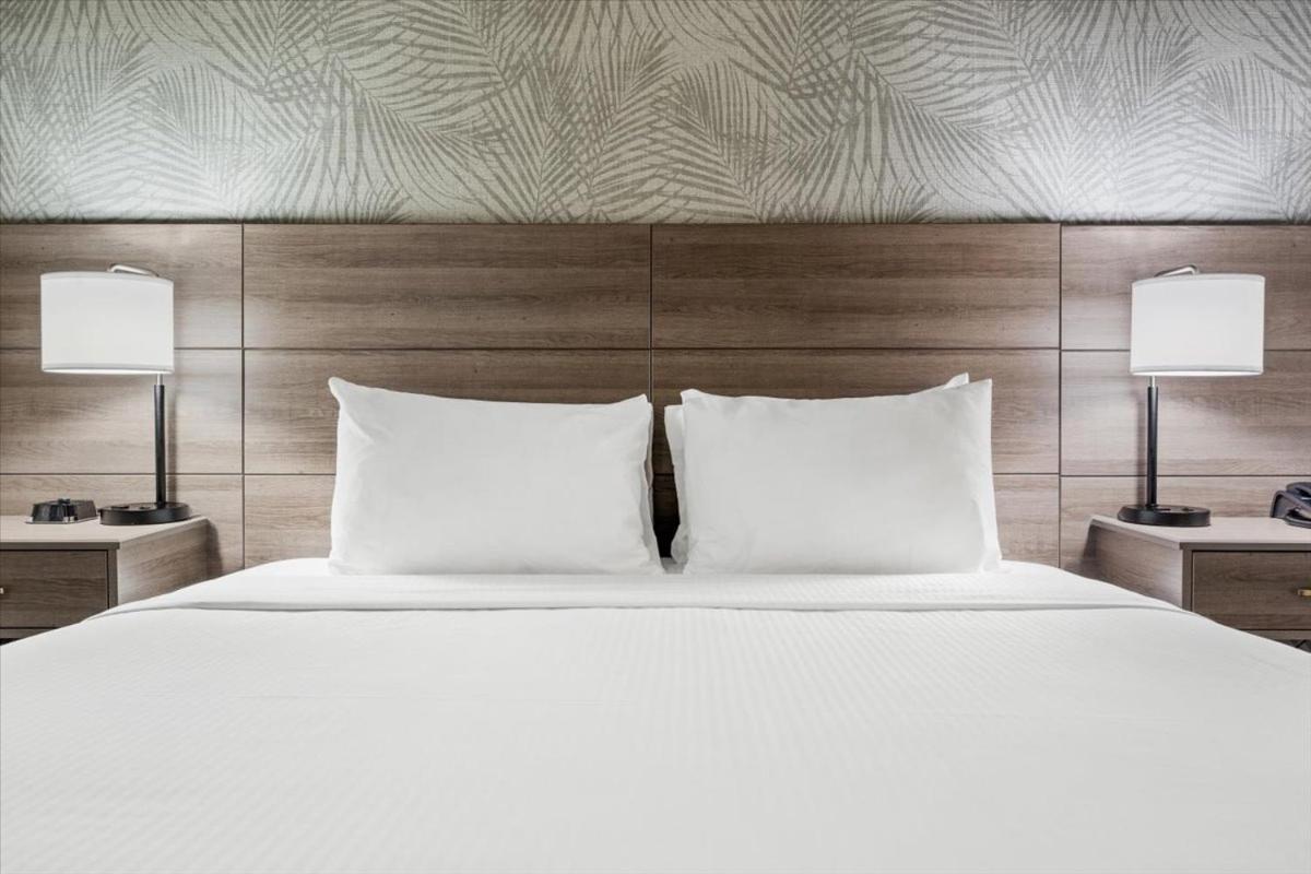 King Suite - Non Smoking/Pet Friendly - Photo 8