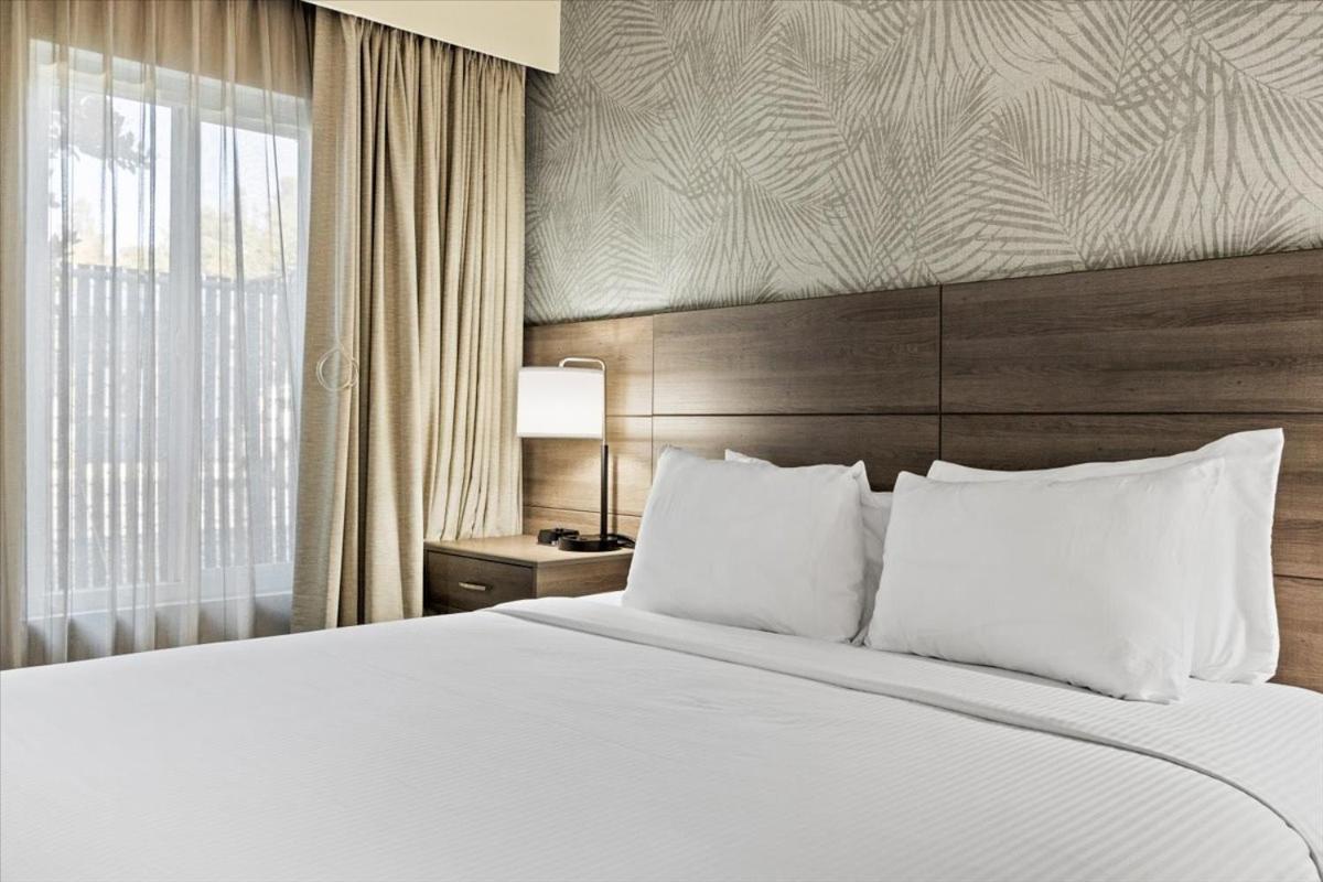 King Suite - Non Smoking/Pet Friendly - Photo 9
