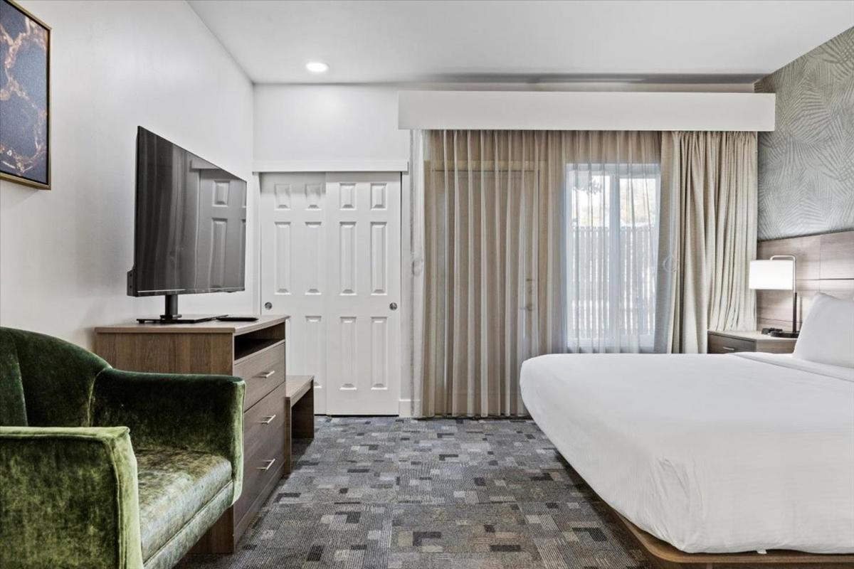 King Suite - Non Smoking/Pet Friendly - Photo 10
