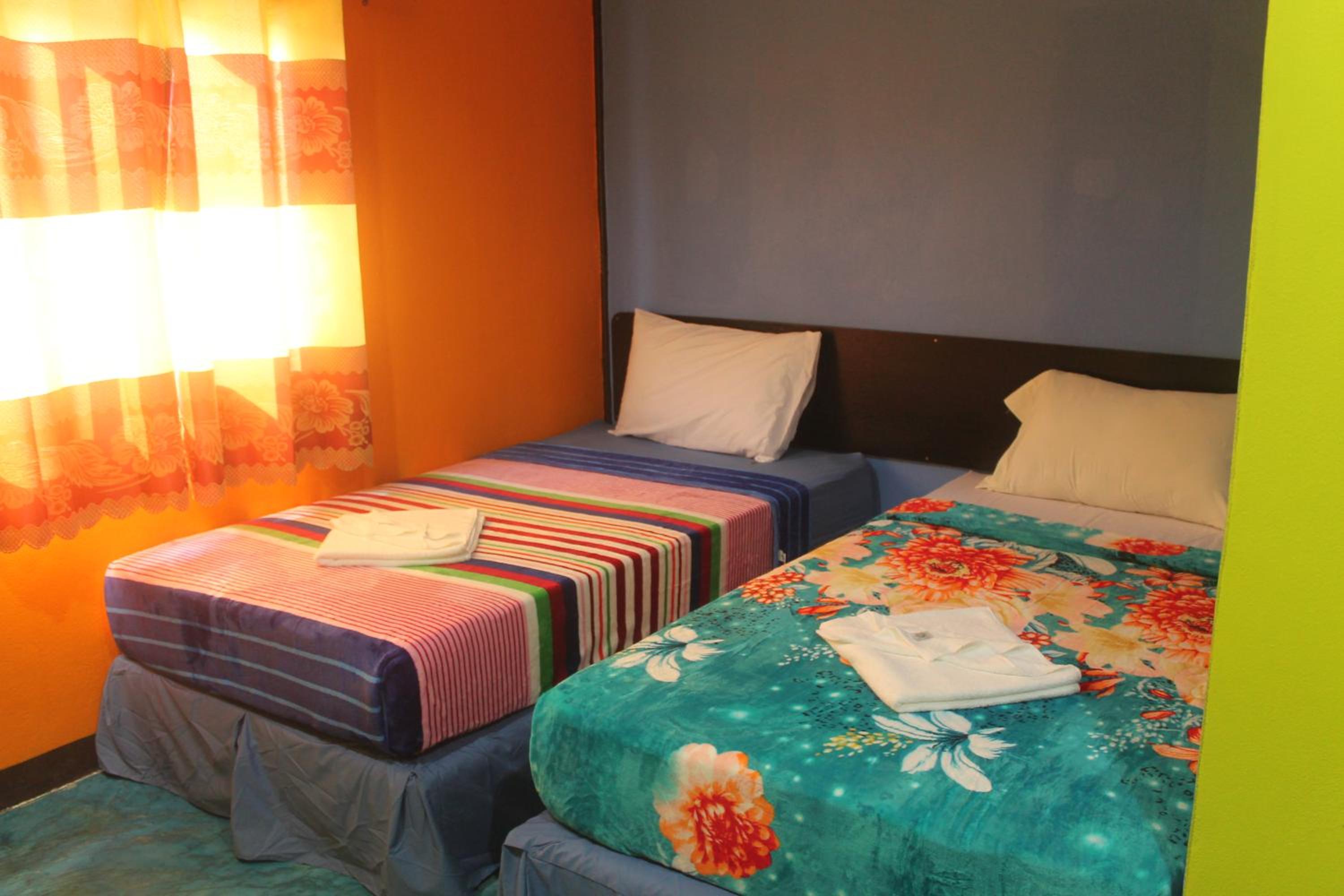 Standard Twin Room - Photo 2