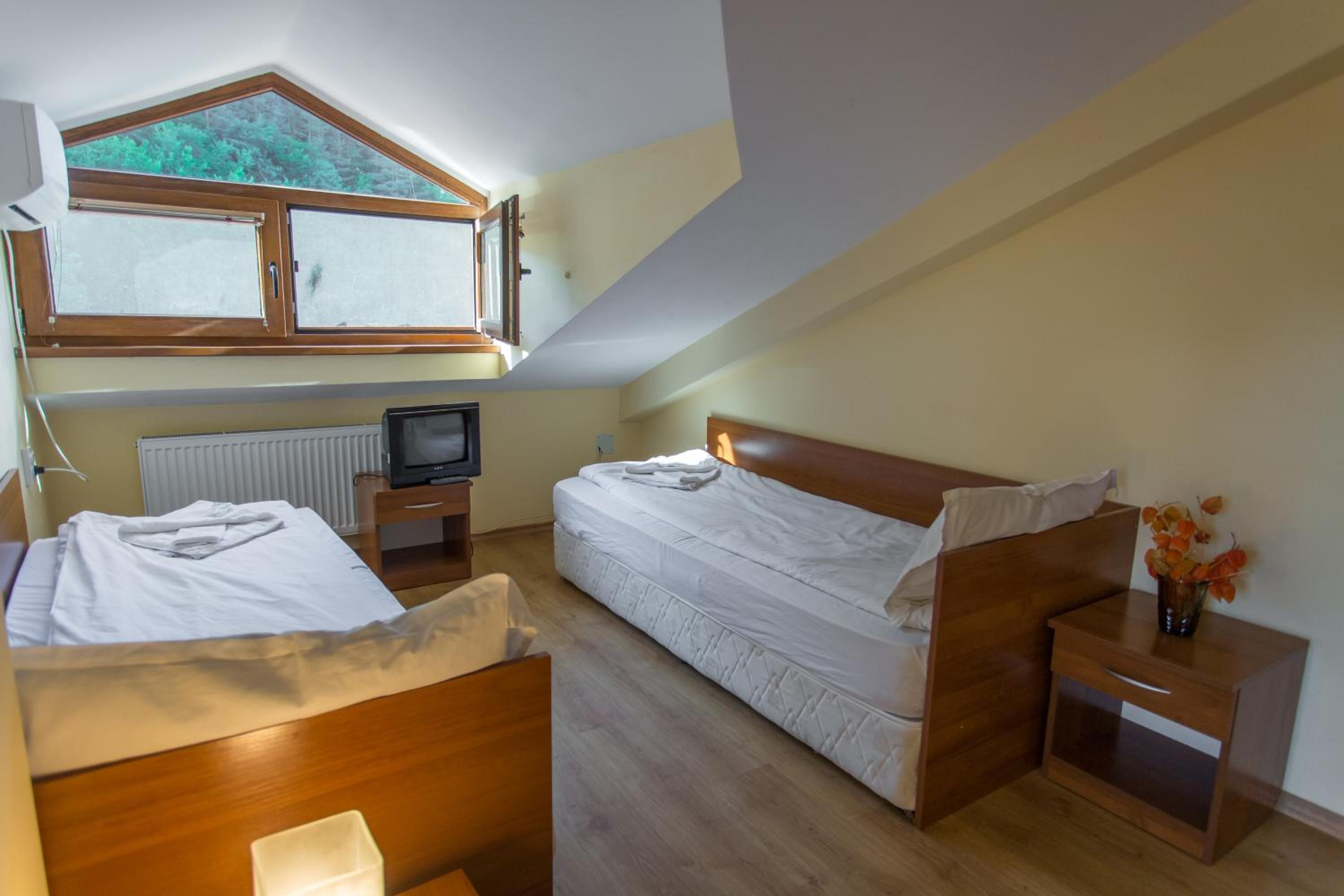 Triple Room With Mountain View