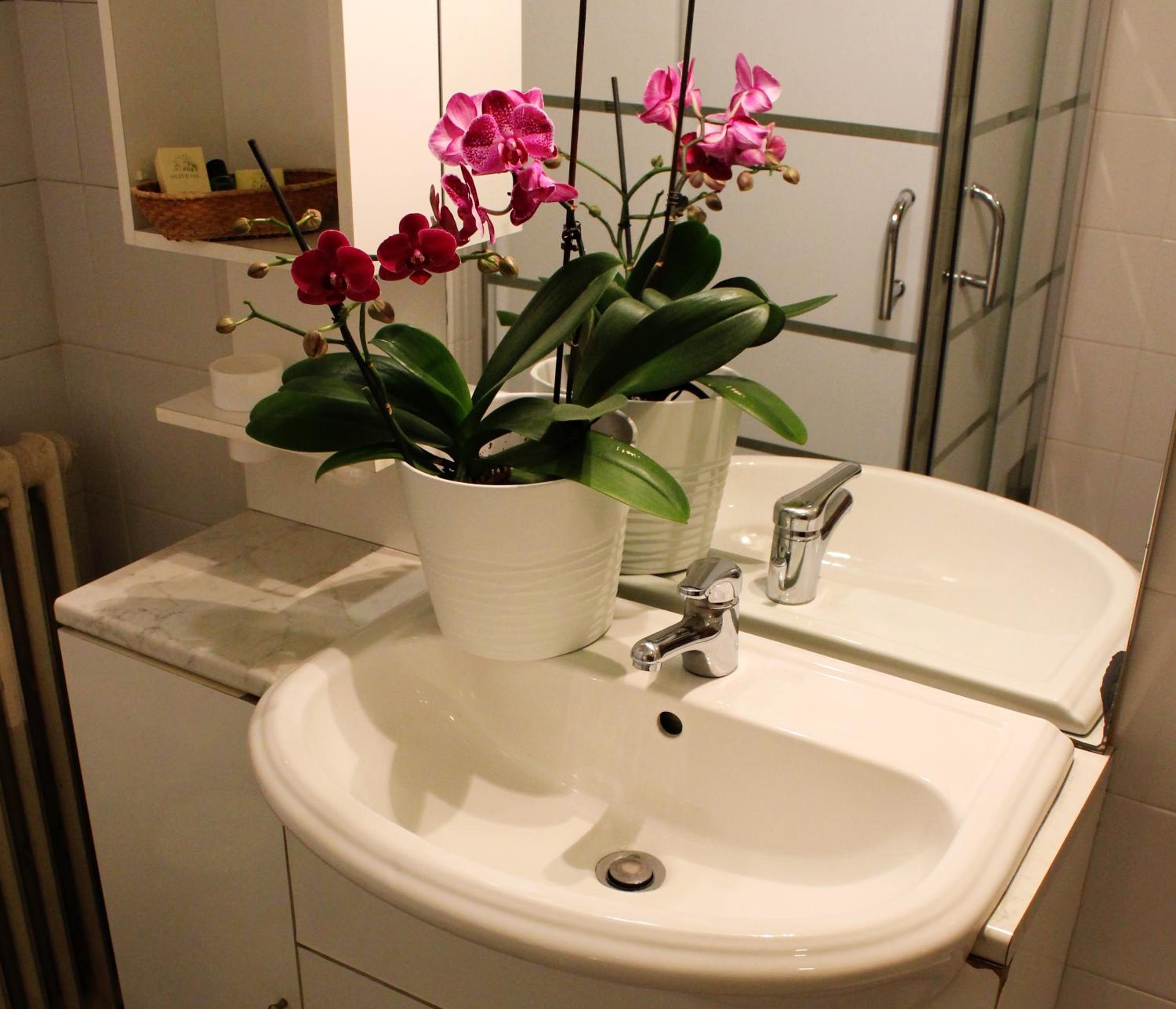 Standard Double Room - Photo 4