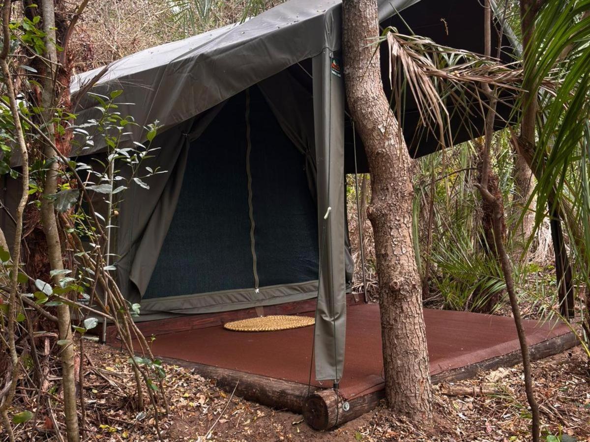 Tent photo 1