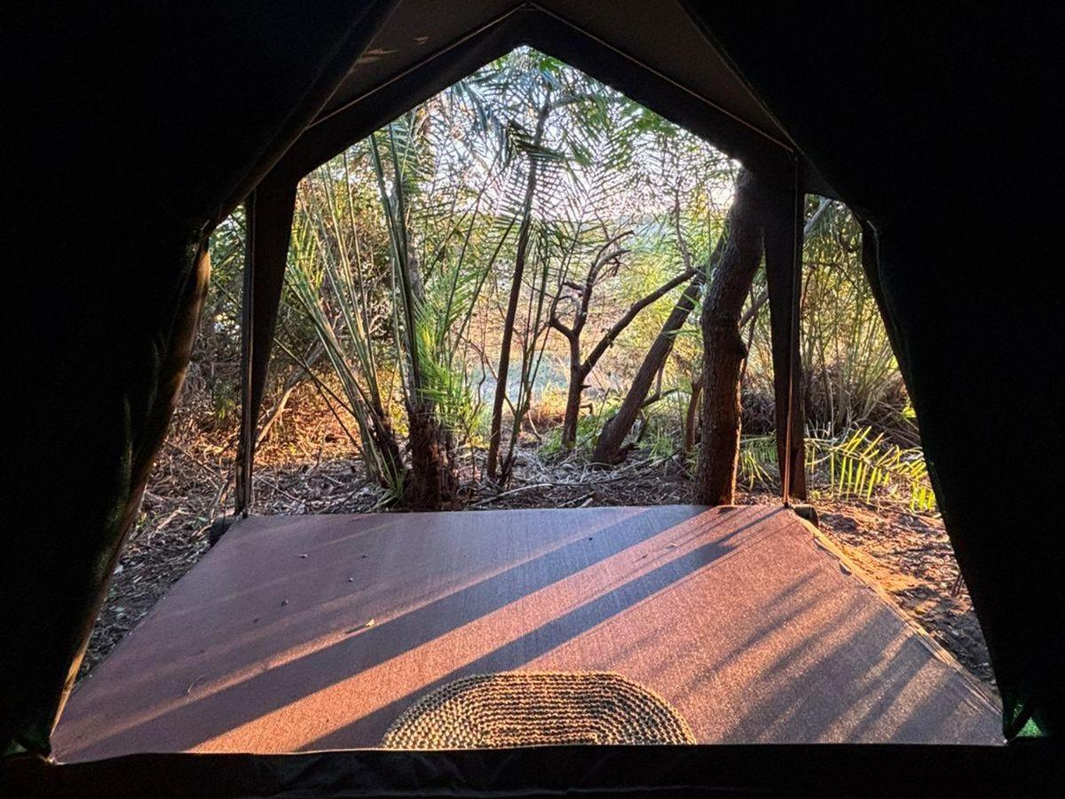 Tent photo 2