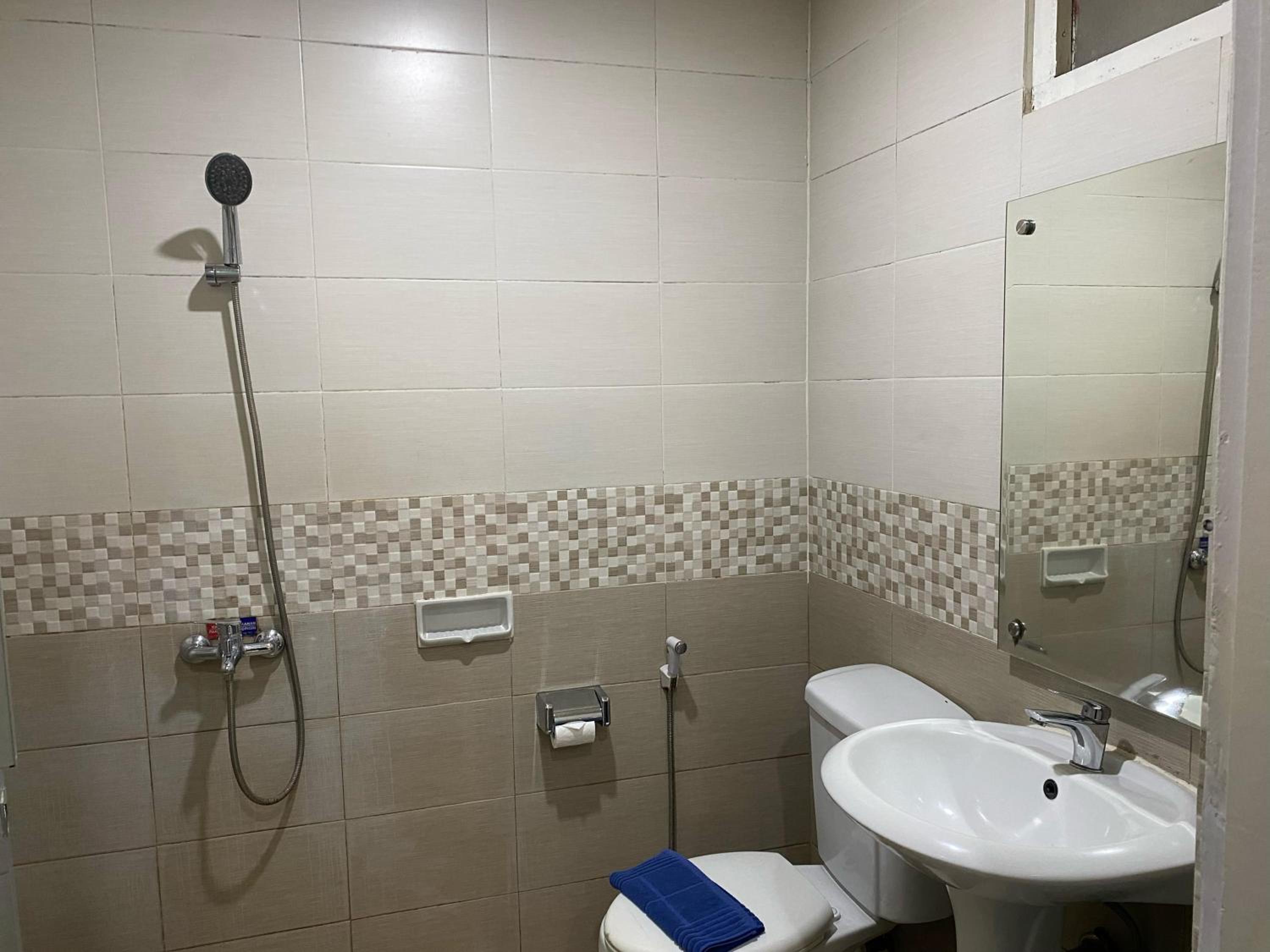 Deluxe Double or Twin Room photo 2