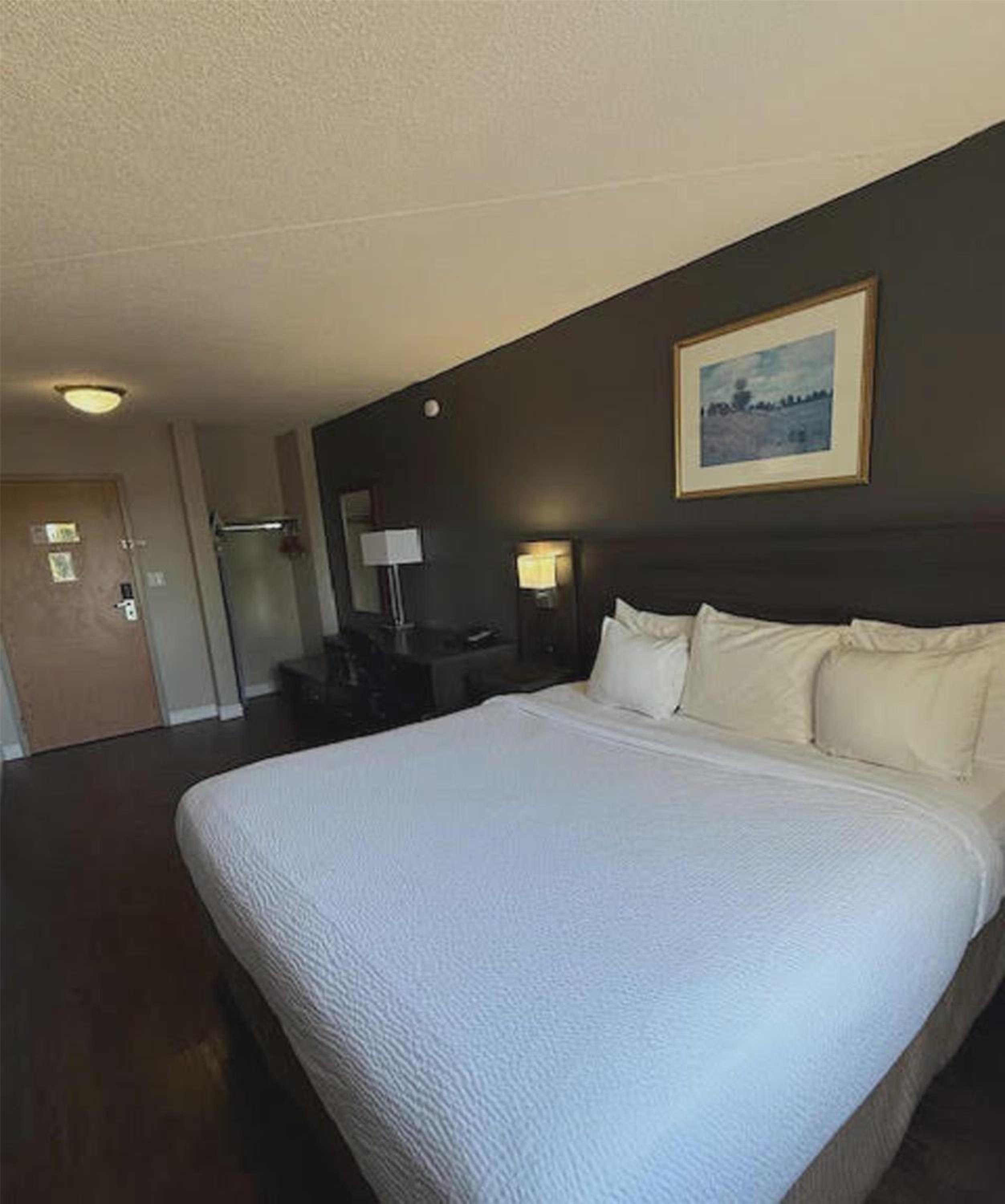 Queen Room - Photo 1