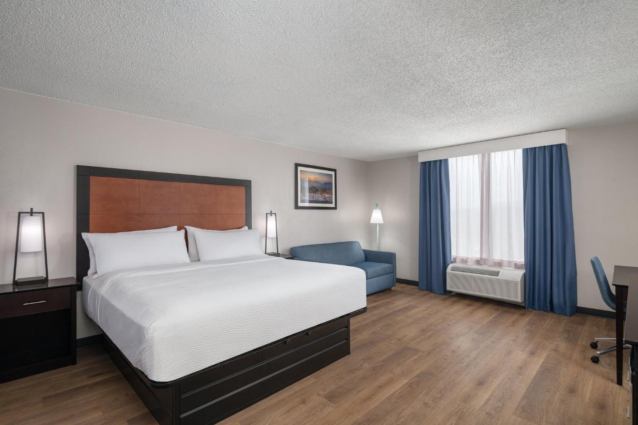 King Suite - Photo 1