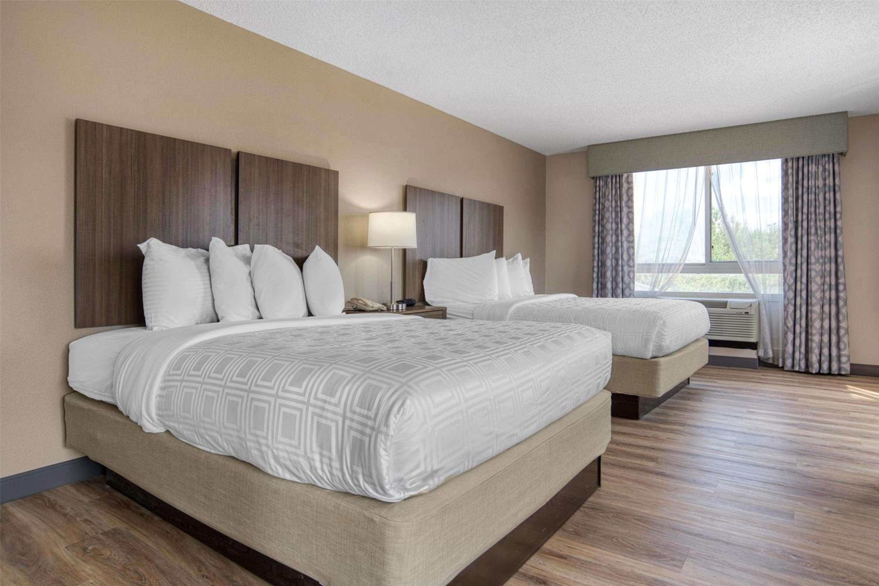 Queen Suite with Two Queen Beds - Photo 1