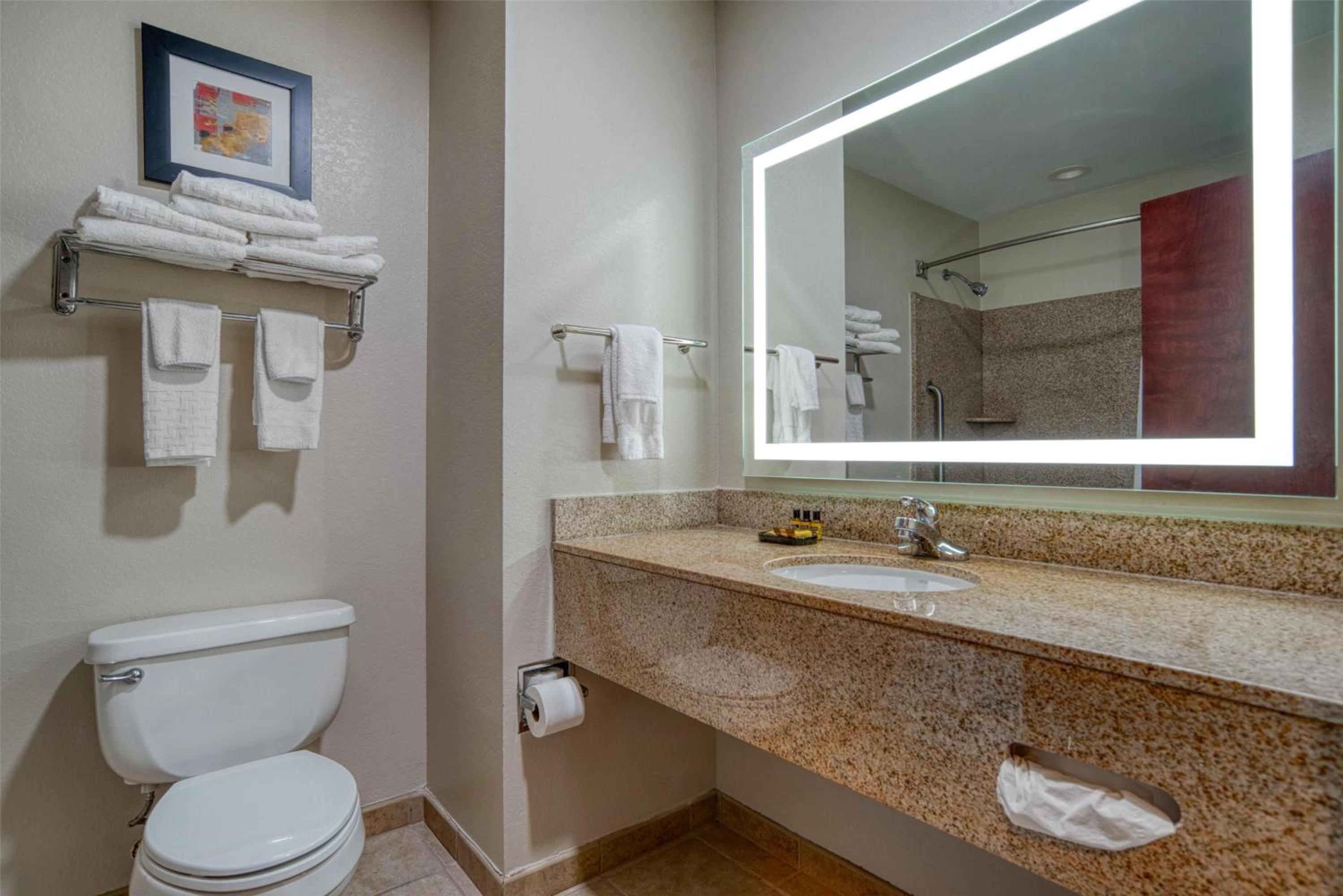 King Suite - Photo 3