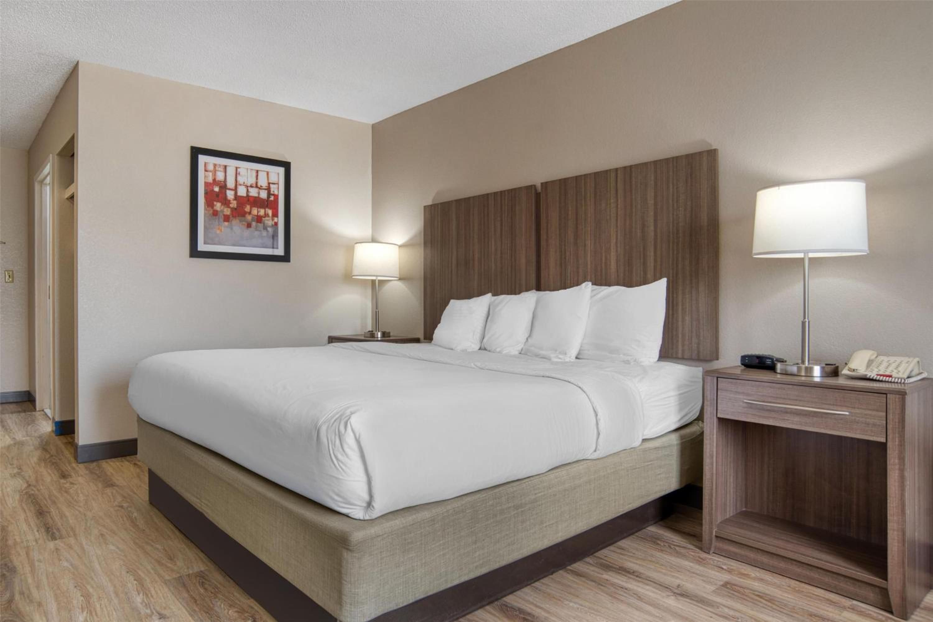 King Room - Non-Smoking - Photo 3