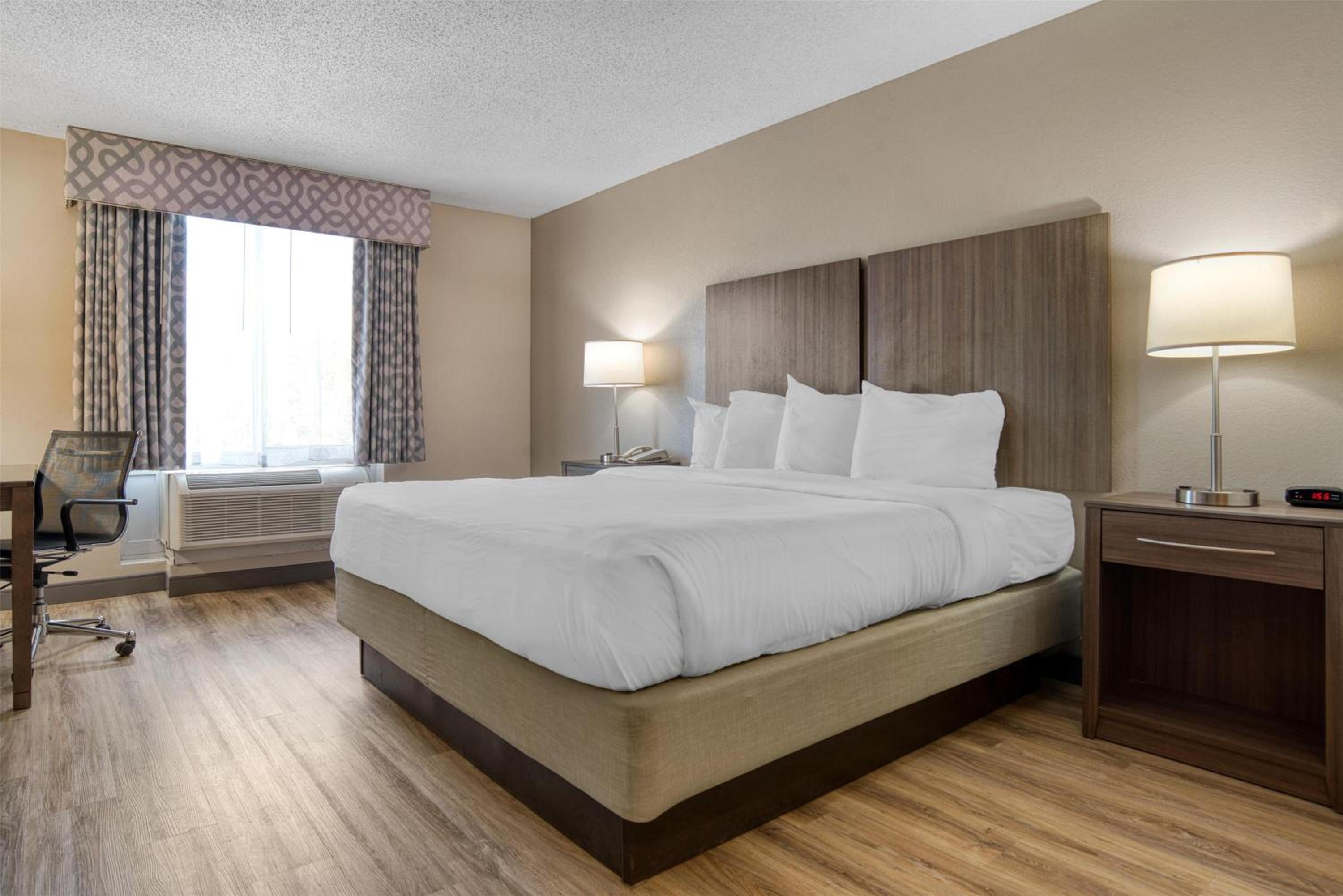 King Suite - Photo 4