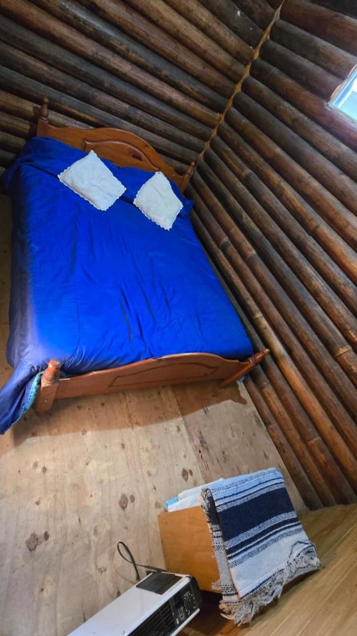 One-Bedroom Bungalow photo 3