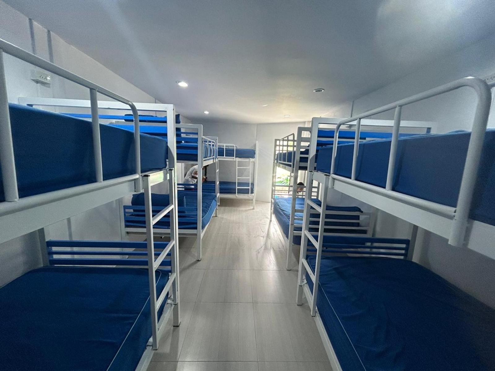 Single Bed in Mixed Dormitory Room photo 1