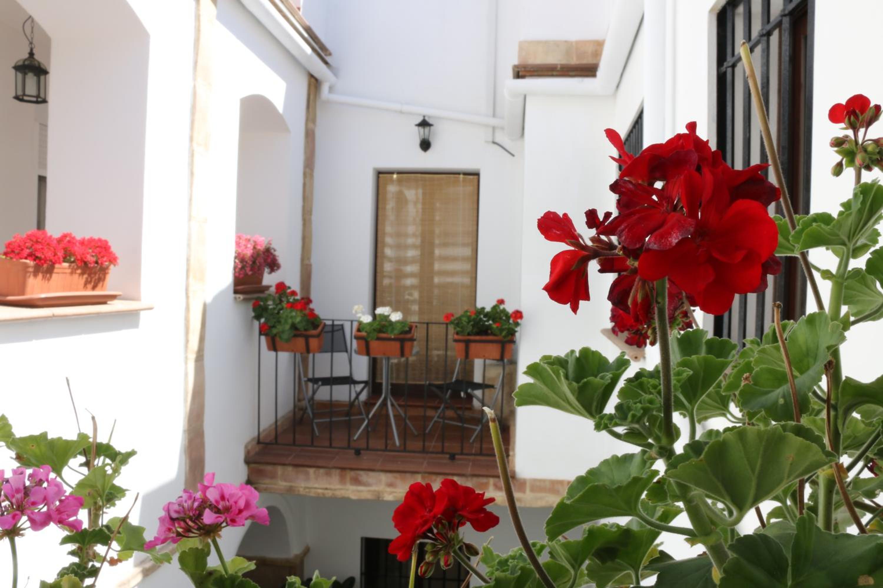 Two bedrooms Apartment with Balcony  - Photo 10