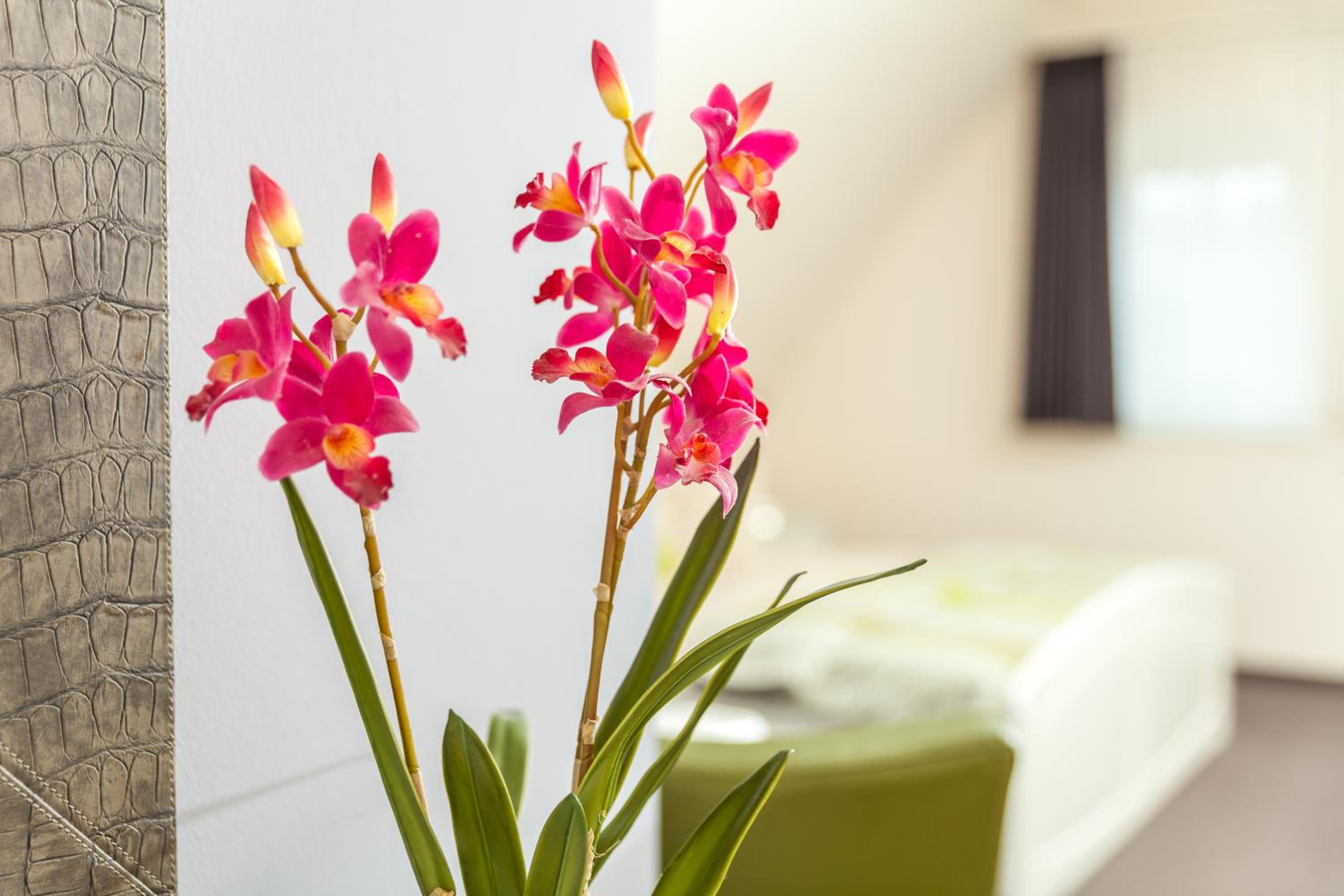 Apartment Exlusive (2 Adults) - Photo 16