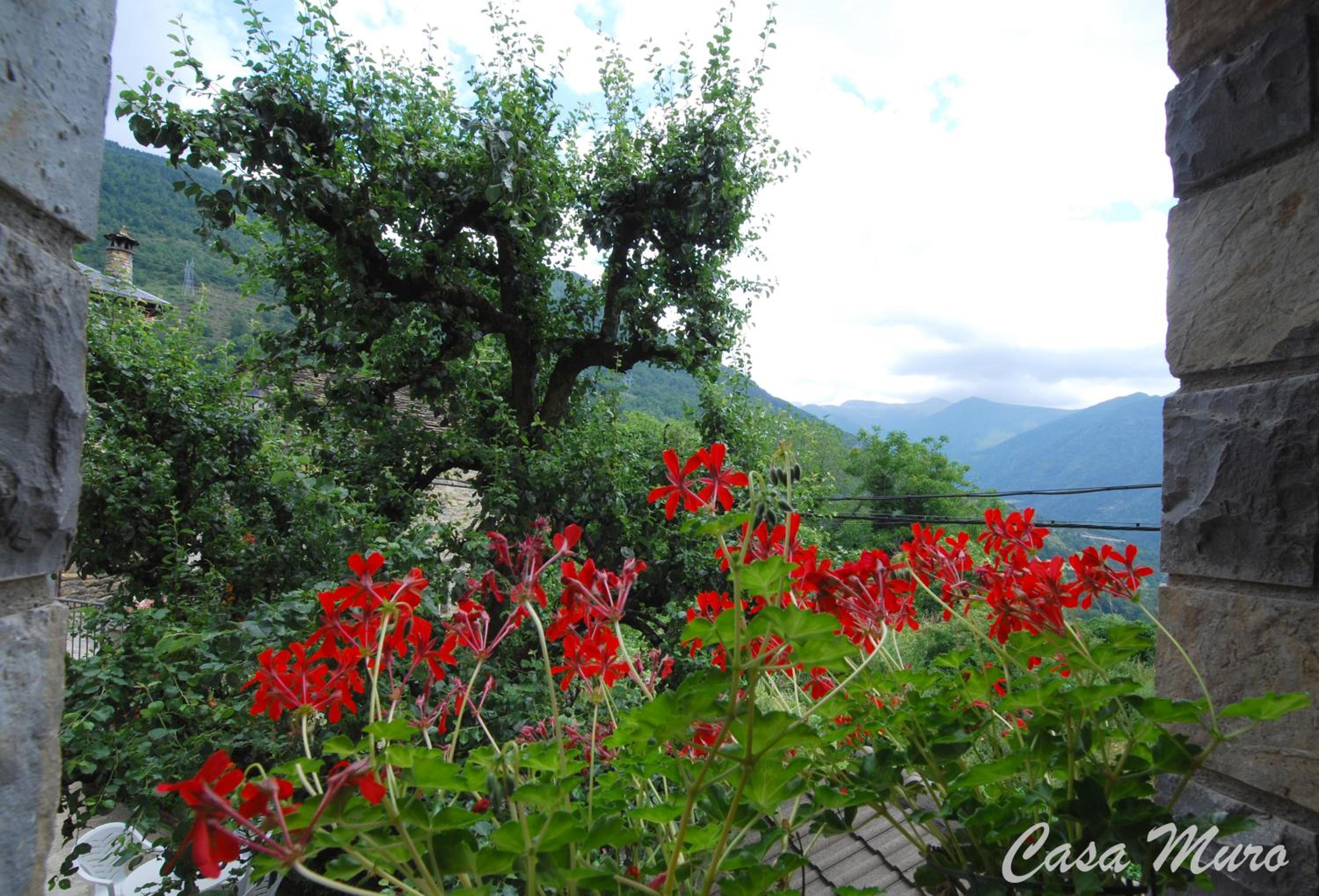 Two-Bedroom Apartment with Balcony and Mountain View  photo 2