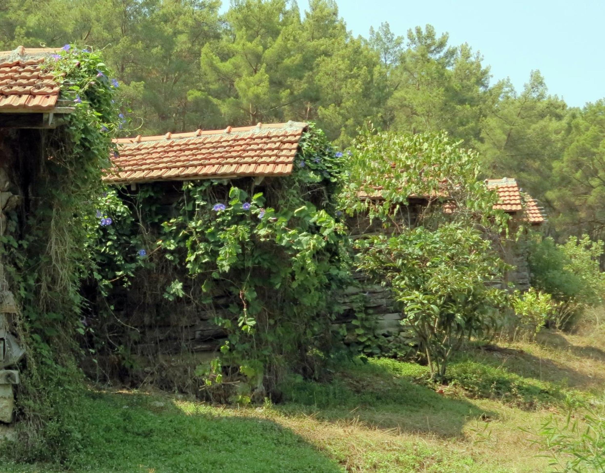 Double Room with Garden View photo 1