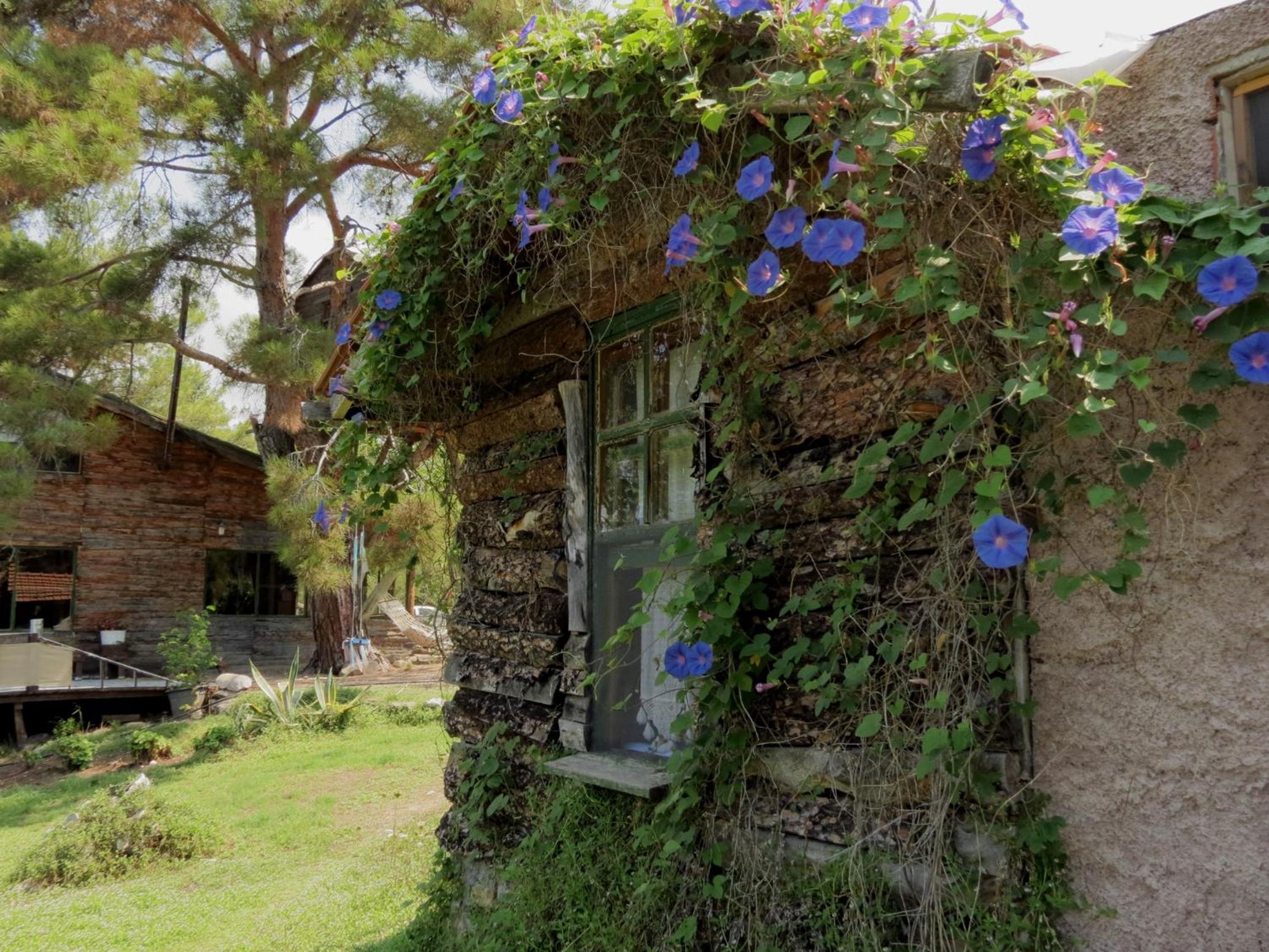 Double Room with Garden View photo 3