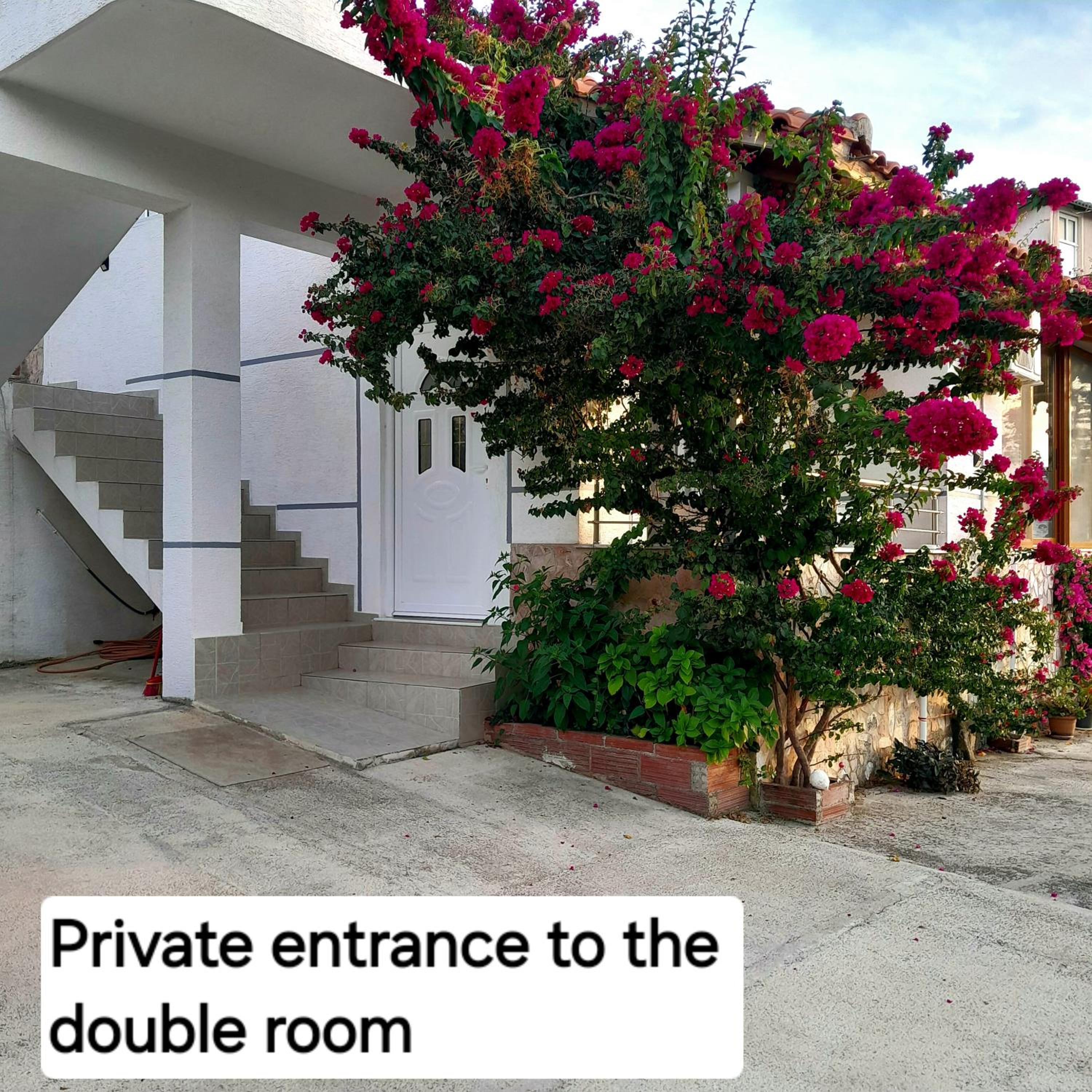 Double Room with Park View photo 2