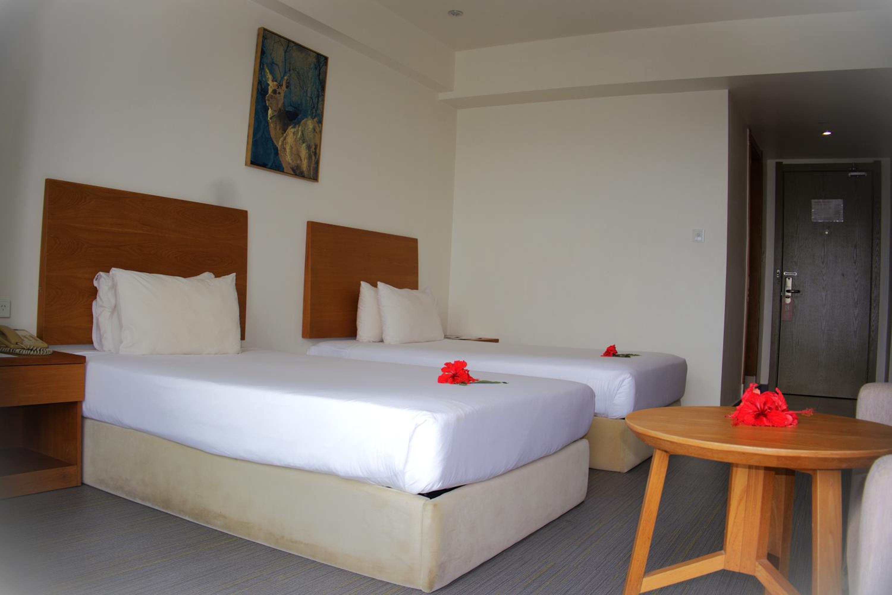 Twin Room with Sunset View photo 4