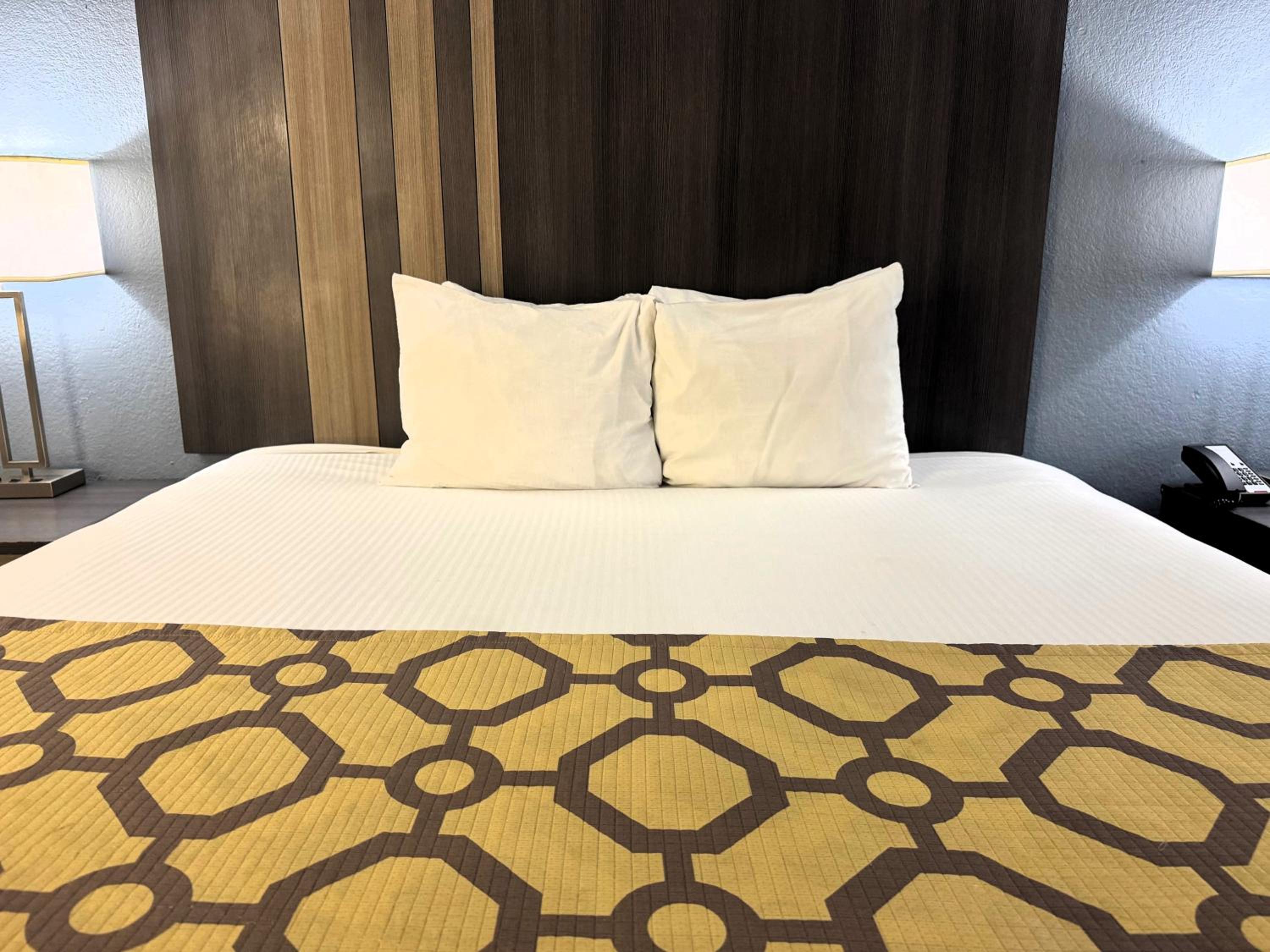 King Room - Pet Friendly/Non-Smoking - Photo 4