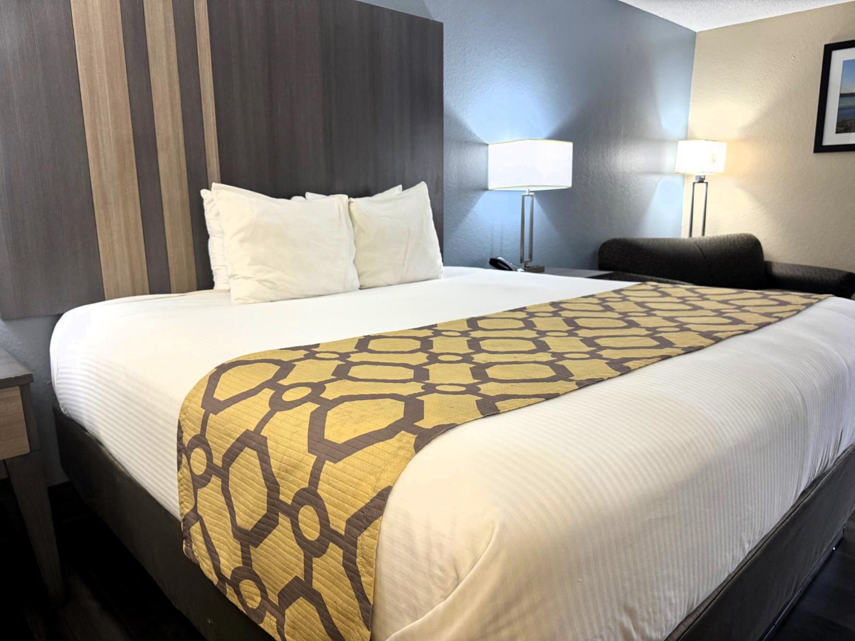 King Room - Pet Friendly/Non-Smoking - Photo 7